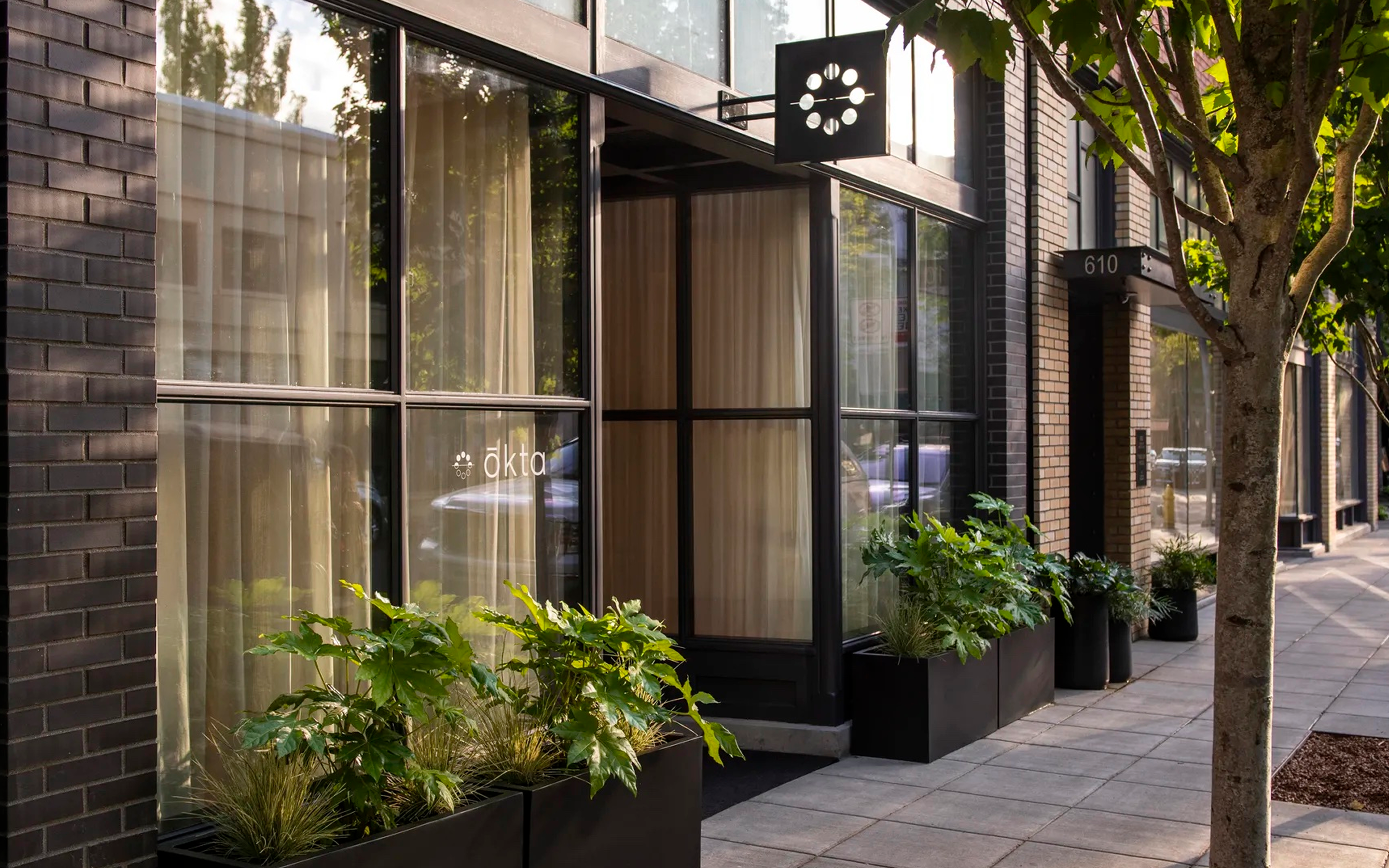 ōkta – Madison Bracken