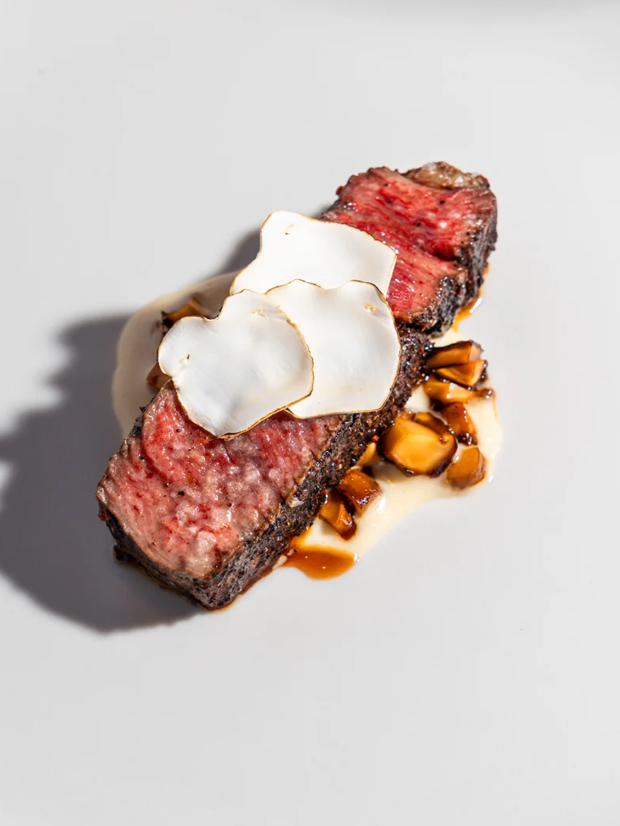 ōkta – Madison Bracken