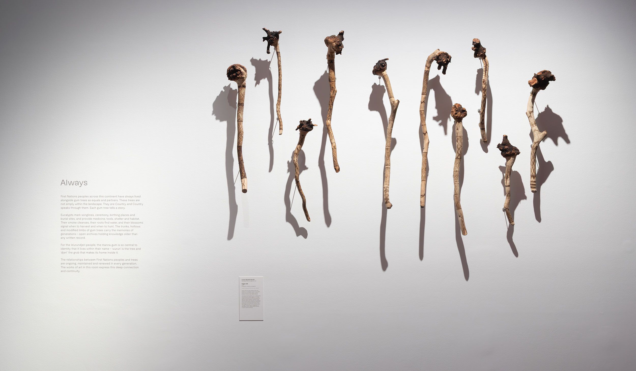 A series of wooden sticks with irregular, gnarled tops are mounted vertically on a white wall; to the left, there is a block of text titled Always and a small plaque below it. Shadows of the sticks fall on the wall.