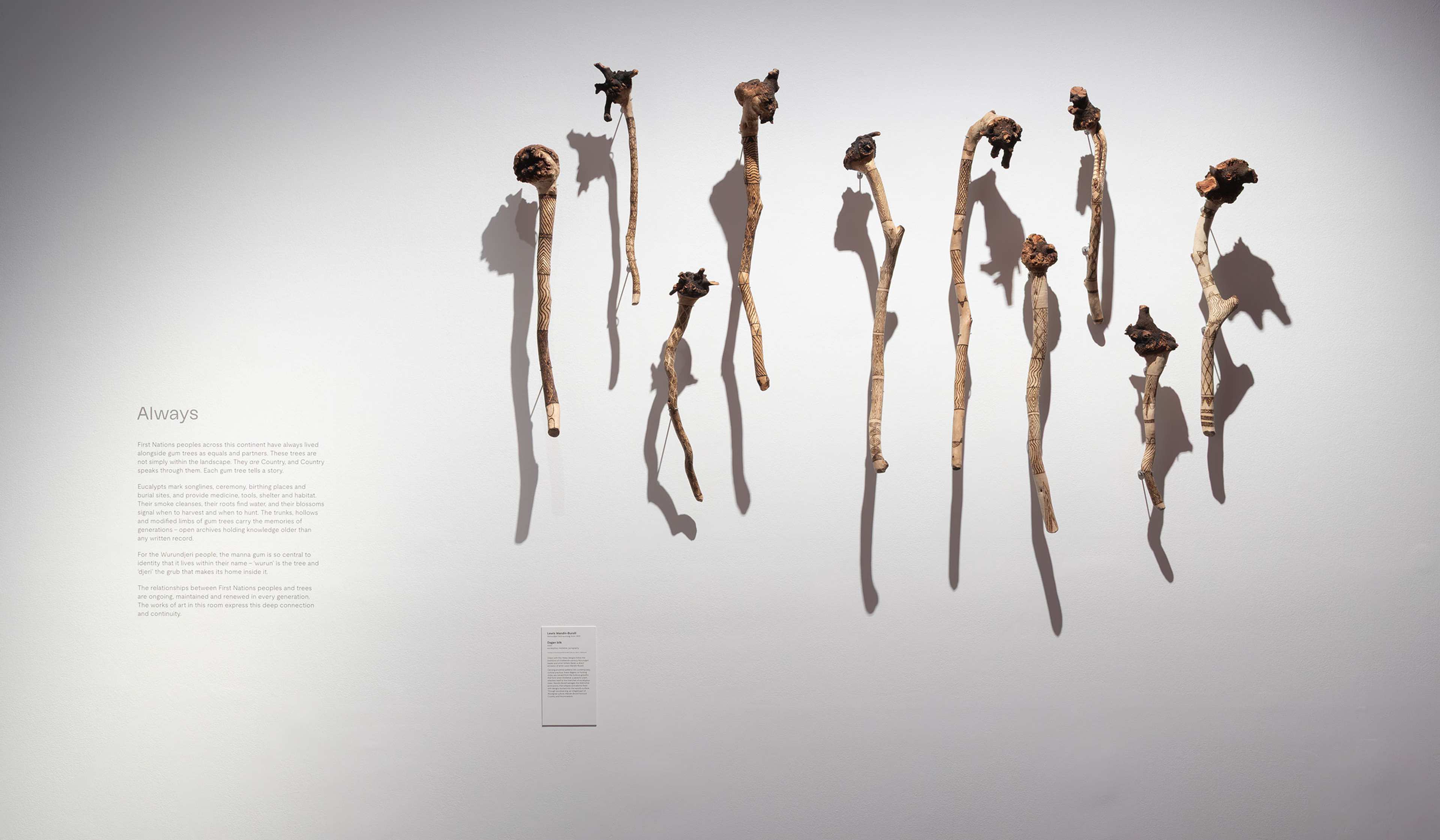 A series of wooden sticks with irregular, gnarled tops are mounted vertically on a white wall; to the left, there is a block of text titled Always and a small plaque below it. Shadows of the sticks fall on the wall.