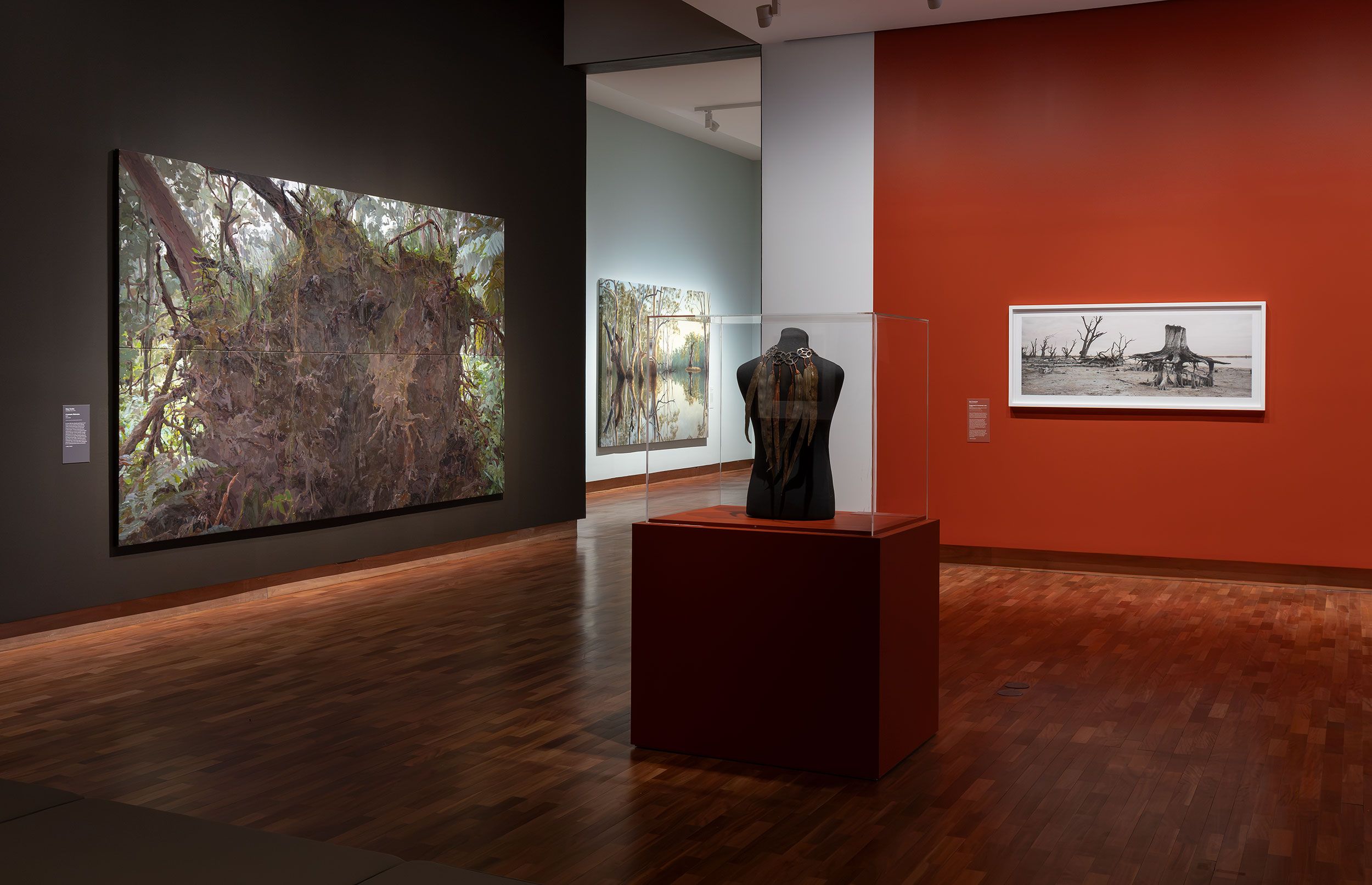 Art gallery with wooden floors, featuring a display case with a black garment, large nature-themed paintings on the walls, and a detailed black-and-white drawing of a tree stump on a red wall.