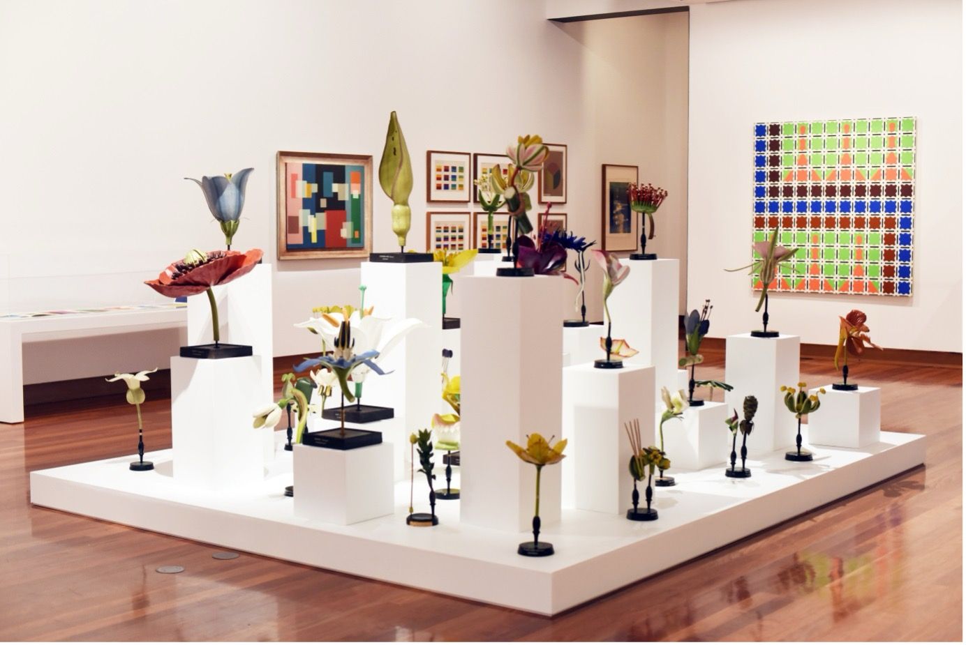 A grouping of historic botanical models on white plinths in a middle of the gallery surrounded by contemporary abstract paintings in the background