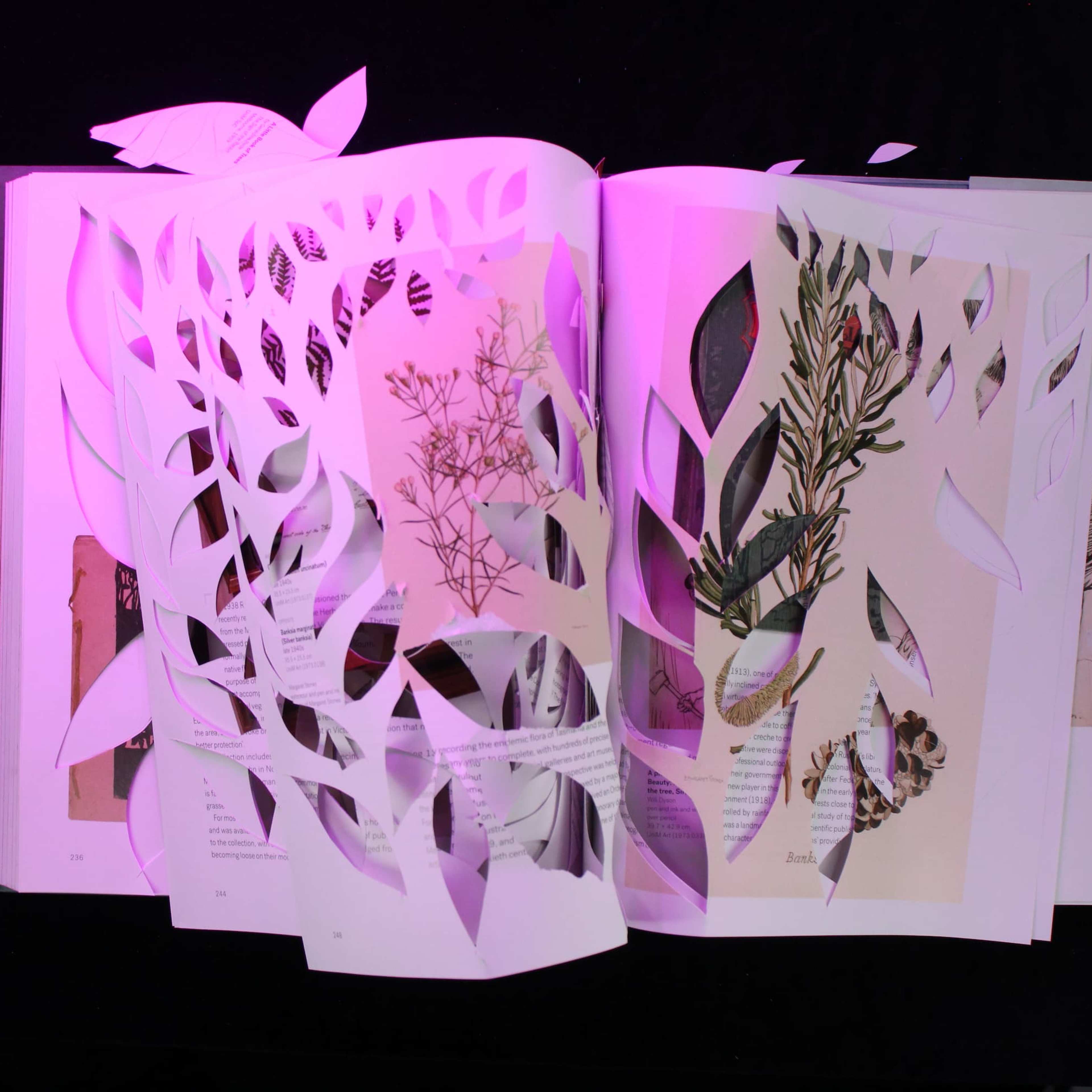 An open book with pages intricately cut into leaf shapes, revealing botanical illustrations underneath. Pink light highlights the scene, and paper cuttings are scattered around on a dark surface.
