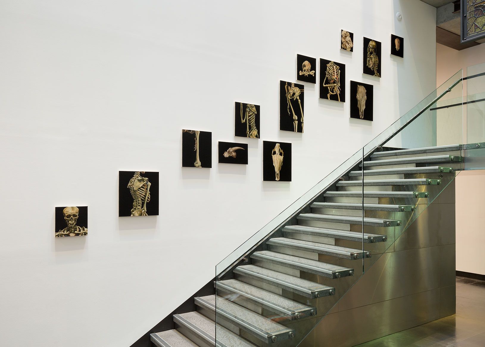 A salon hang of smaller paintings with dark backgrounds on the wall next to a staircase.