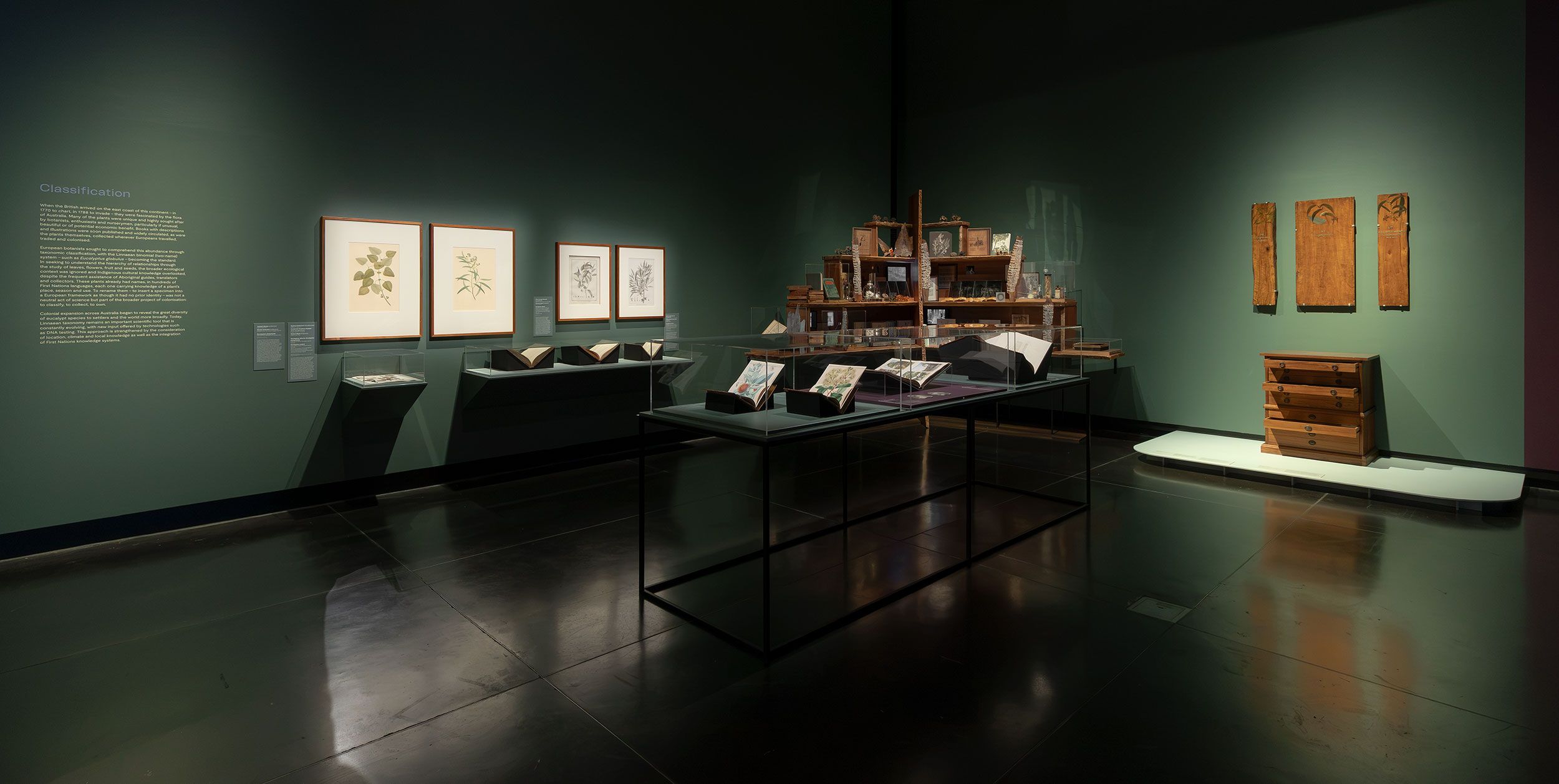 A museum exhibit with botanical illustrations on green walls, display cases containing books and papers, a wooden cabinet, and wooden panels, all arranged on dark reflective flooring under soft lighting.