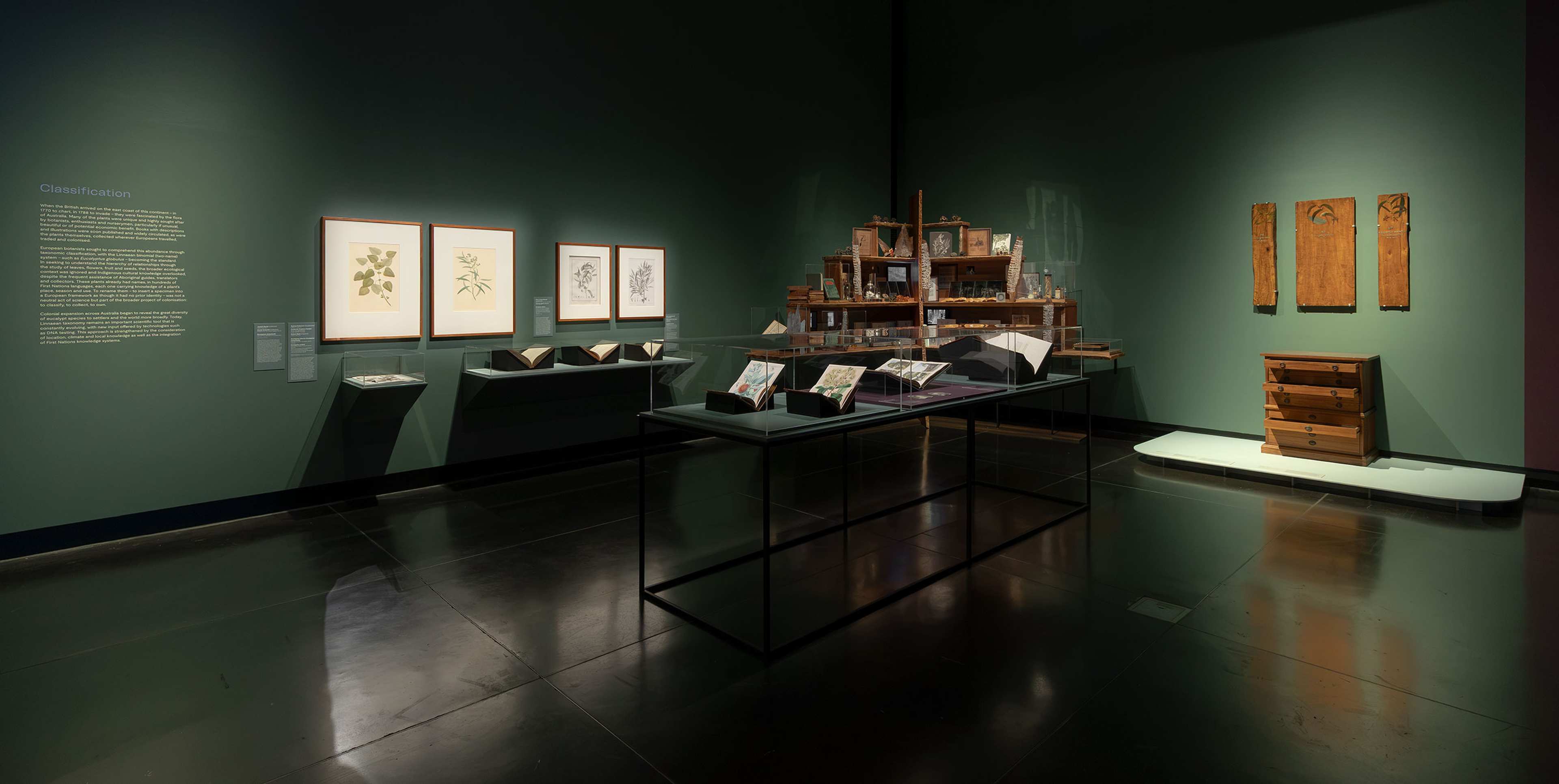 A museum exhibit with botanical illustrations on green walls, display cases containing books and papers, a wooden cabinet, and wooden panels, all arranged on dark reflective flooring under soft lighting.