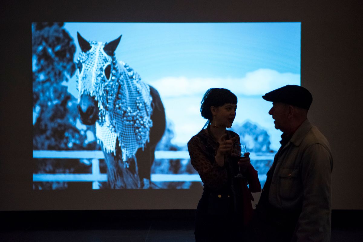 A horse with an ornate head covering projected on a screen with visitors speaking in the foreground