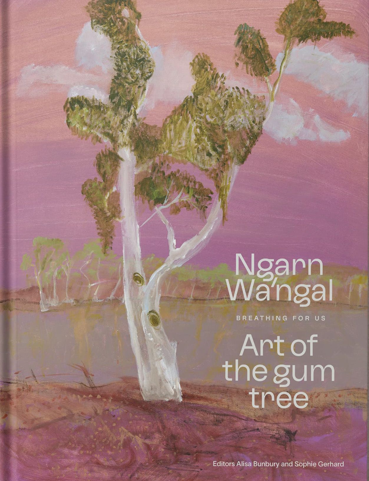 A book titled Ngan’ng Wanggali: Art of the gum tree featuring painted gum trees against a pink and purple background, placed on a plain light gray surface.
