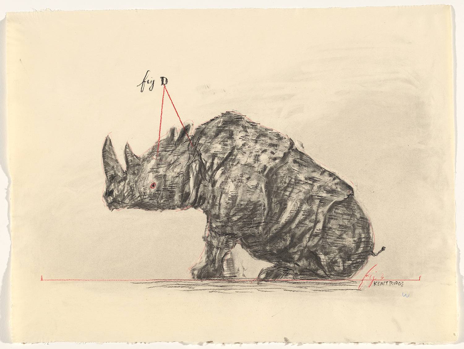 A rhinoceros sitting with red lines pointing to key points drawn with charcoal