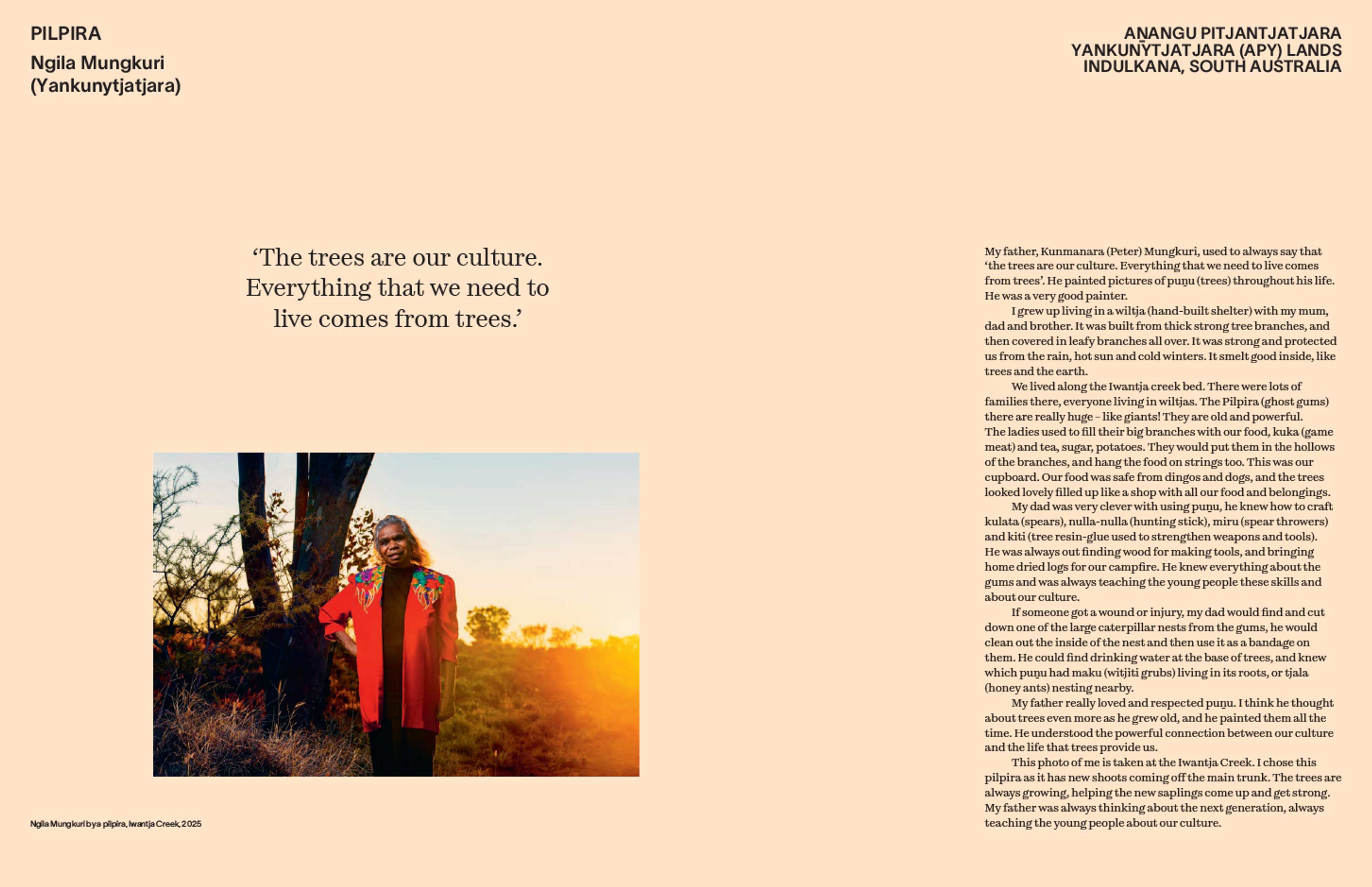 A person in a red coat stands outdoors by a tree at sunset, looking into the distance. Text appears on the left, including a quote about the importance of trees, and a story is printed on the right side of the image.