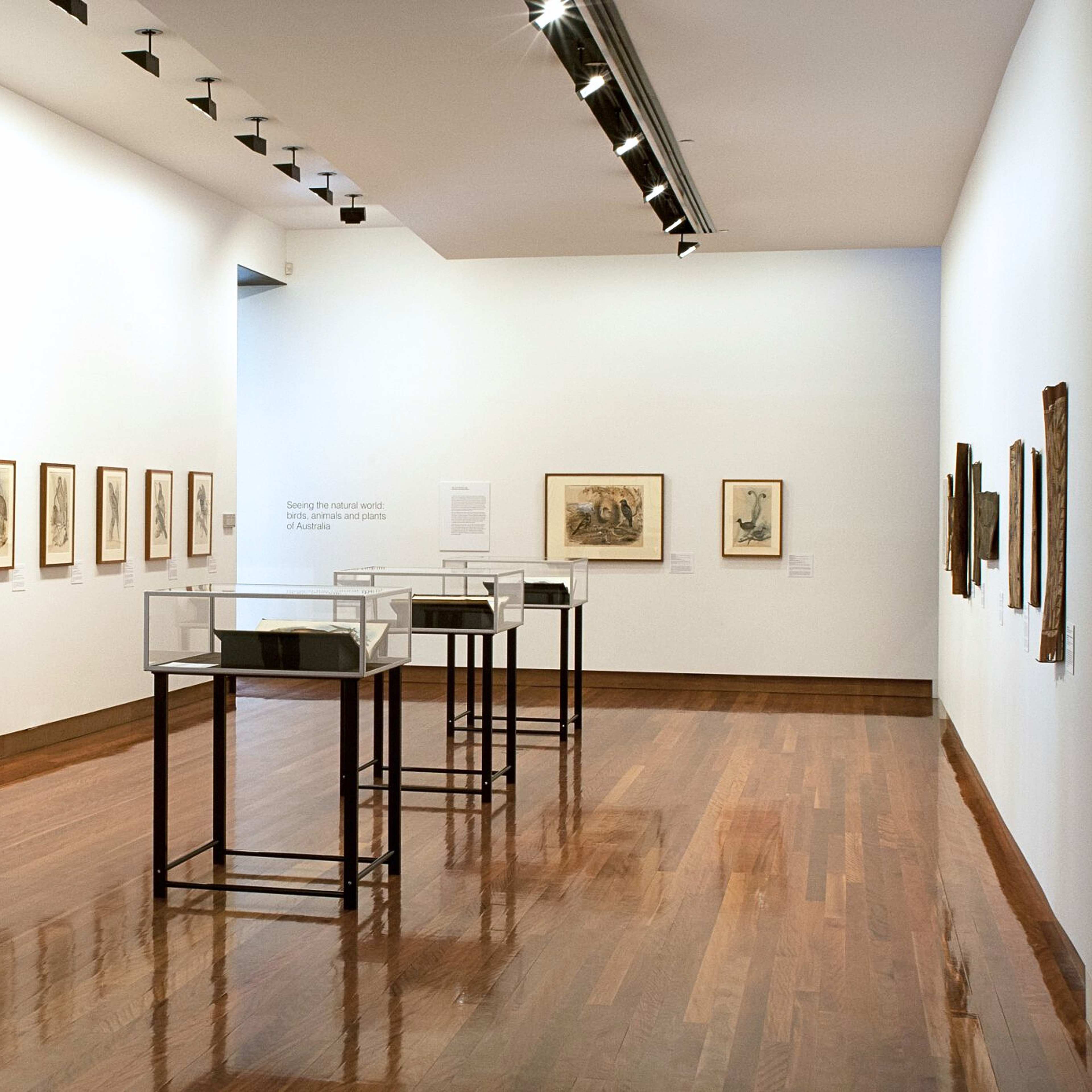 A photograph of a gallery with rows of framed works on paper, some of birds, lining the walls and several glass vitrines positioned in the middle of the space