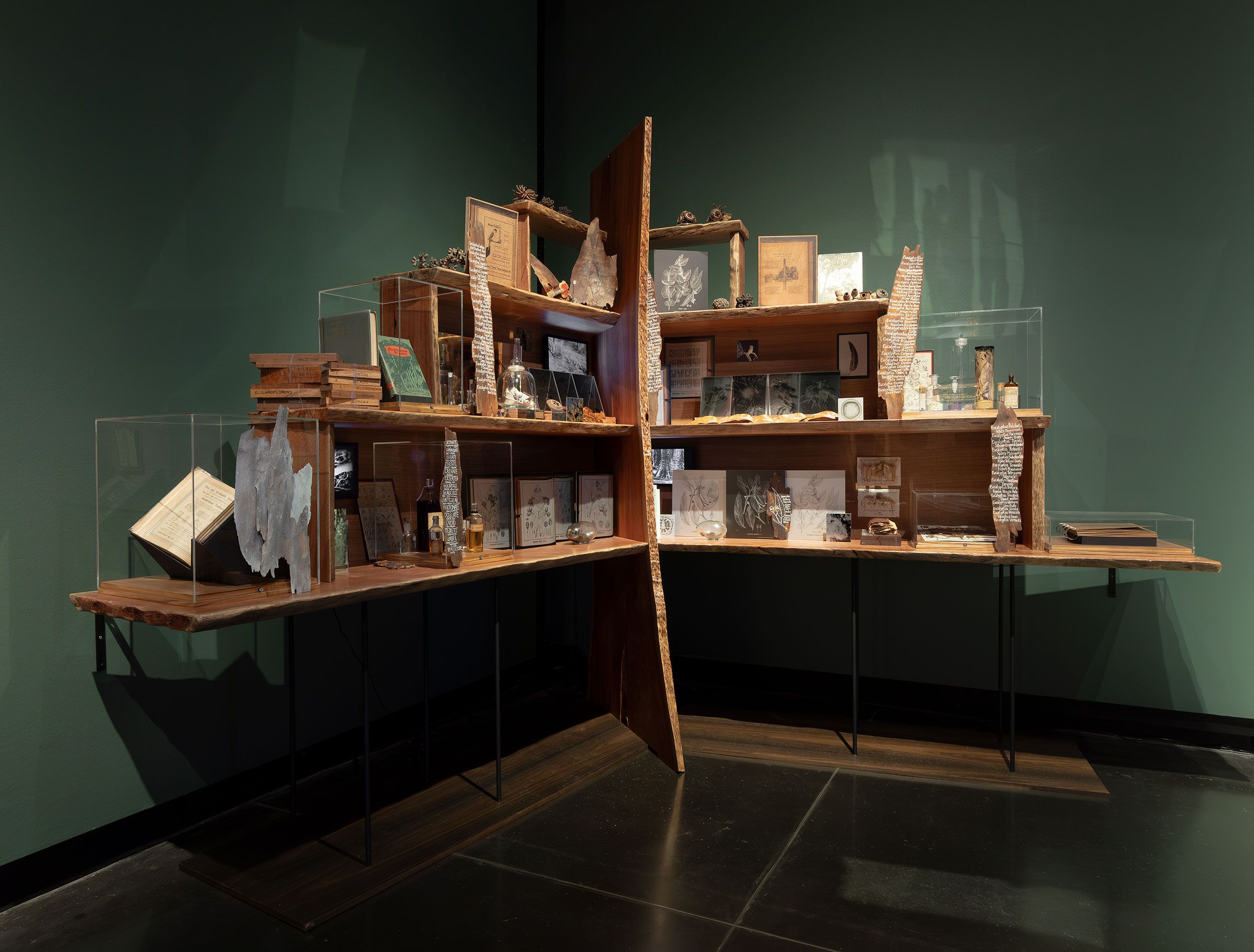 A wooden display shelf stands against a green wall, filled with books, artifacts, framed images, drawings, and various small objects, many protected by clear display cases. The shelf has an organic, artistic design.