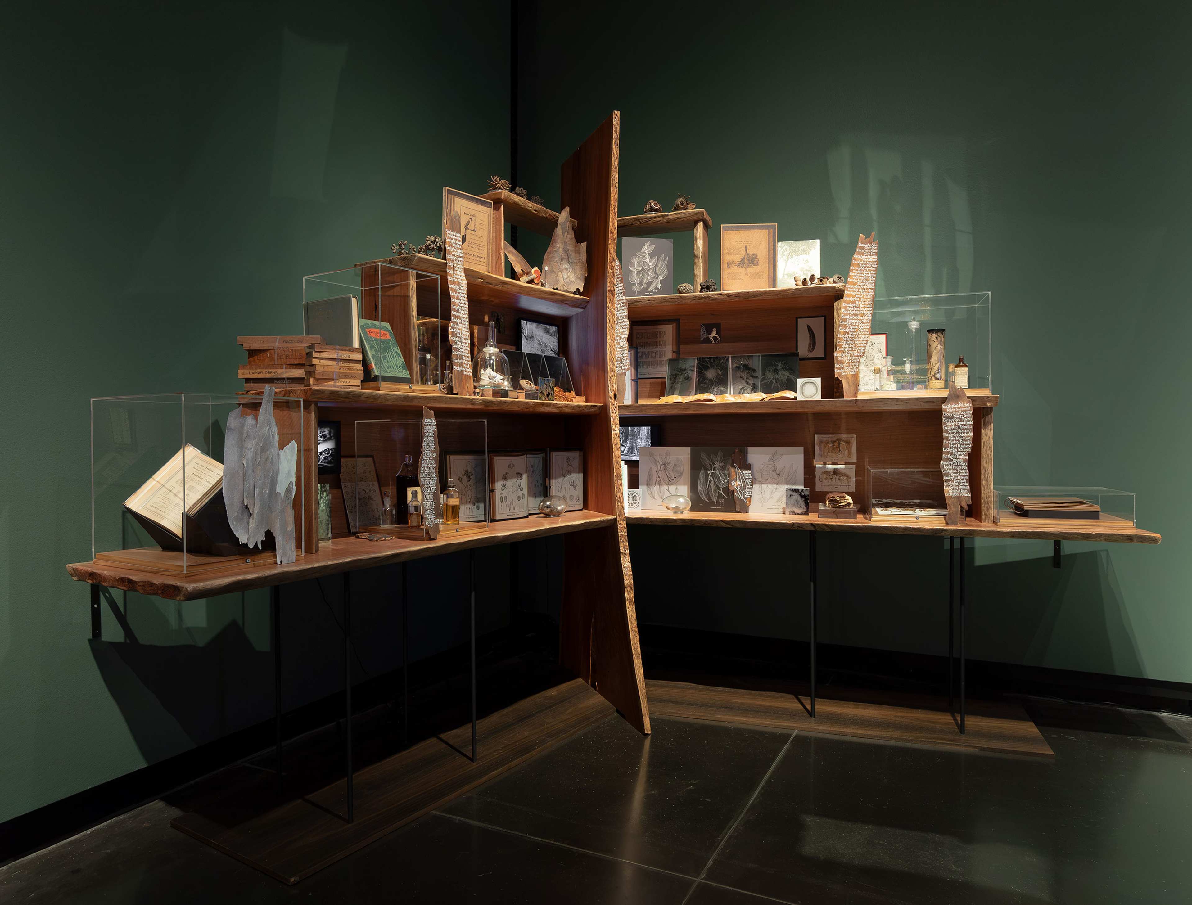 A wooden display shelf stands against a green wall, filled with books, artifacts, framed images, drawings, and various small objects, many protected by clear display cases. The shelf has an organic, artistic design.