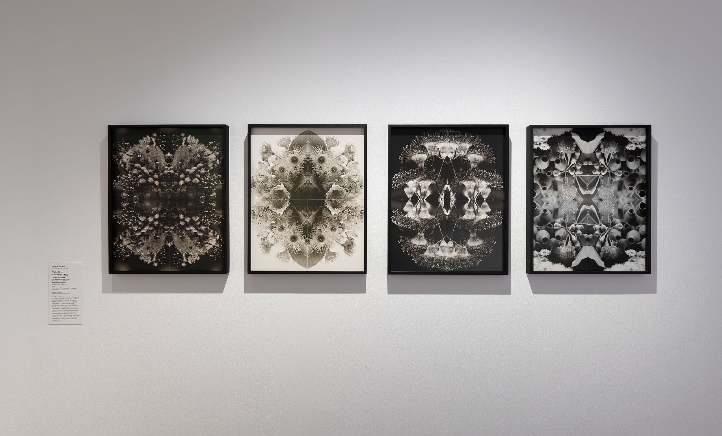 Four framed black-and-white abstract artworks with symmetrical, mirrored designs are displayed in a row on a white wall. A small placard with text is mounted to the left of the frames.