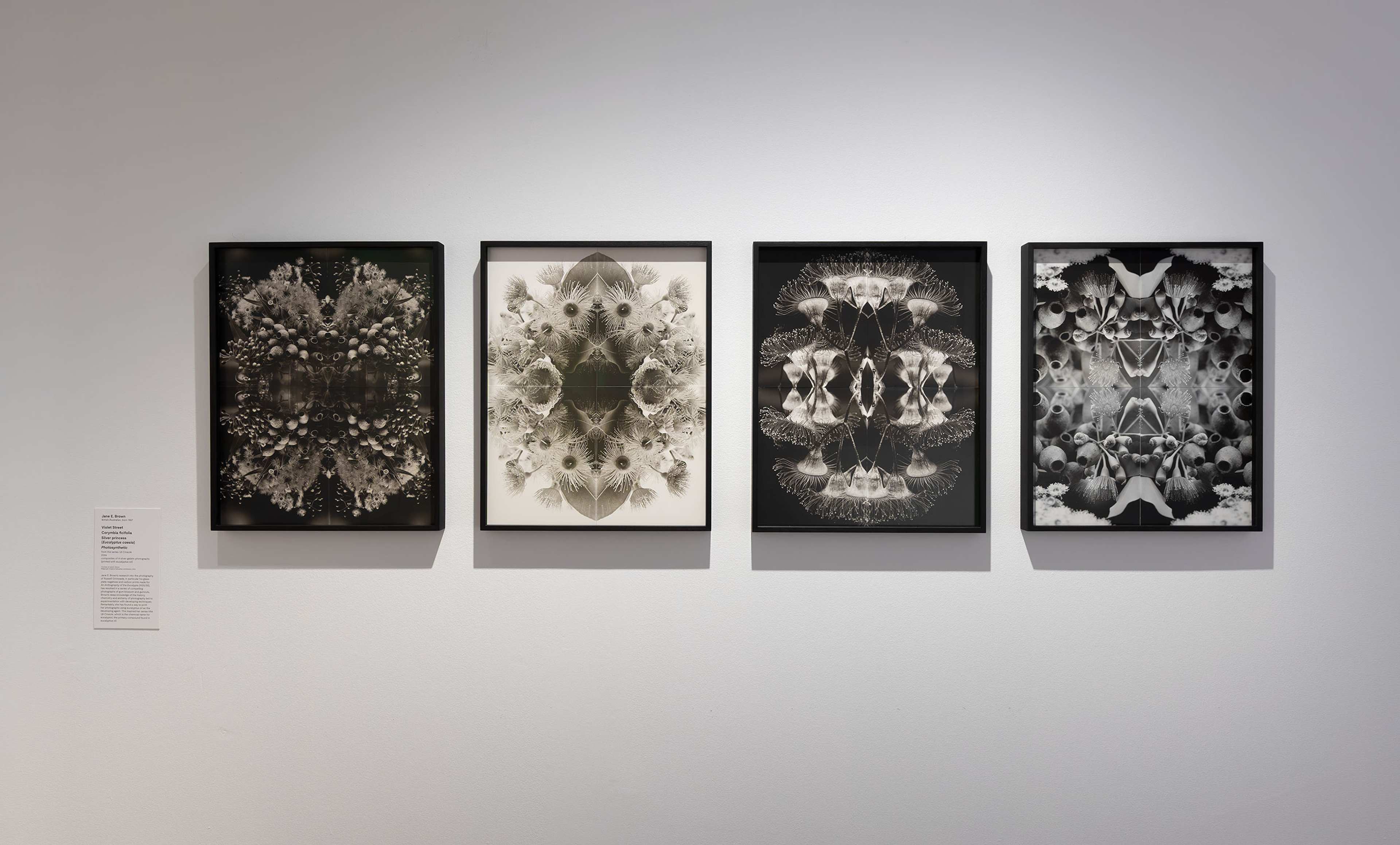 Four framed black-and-white abstract artworks with symmetrical, mirrored designs are displayed in a row on a white wall. A small placard with text is mounted to the left of the frames.