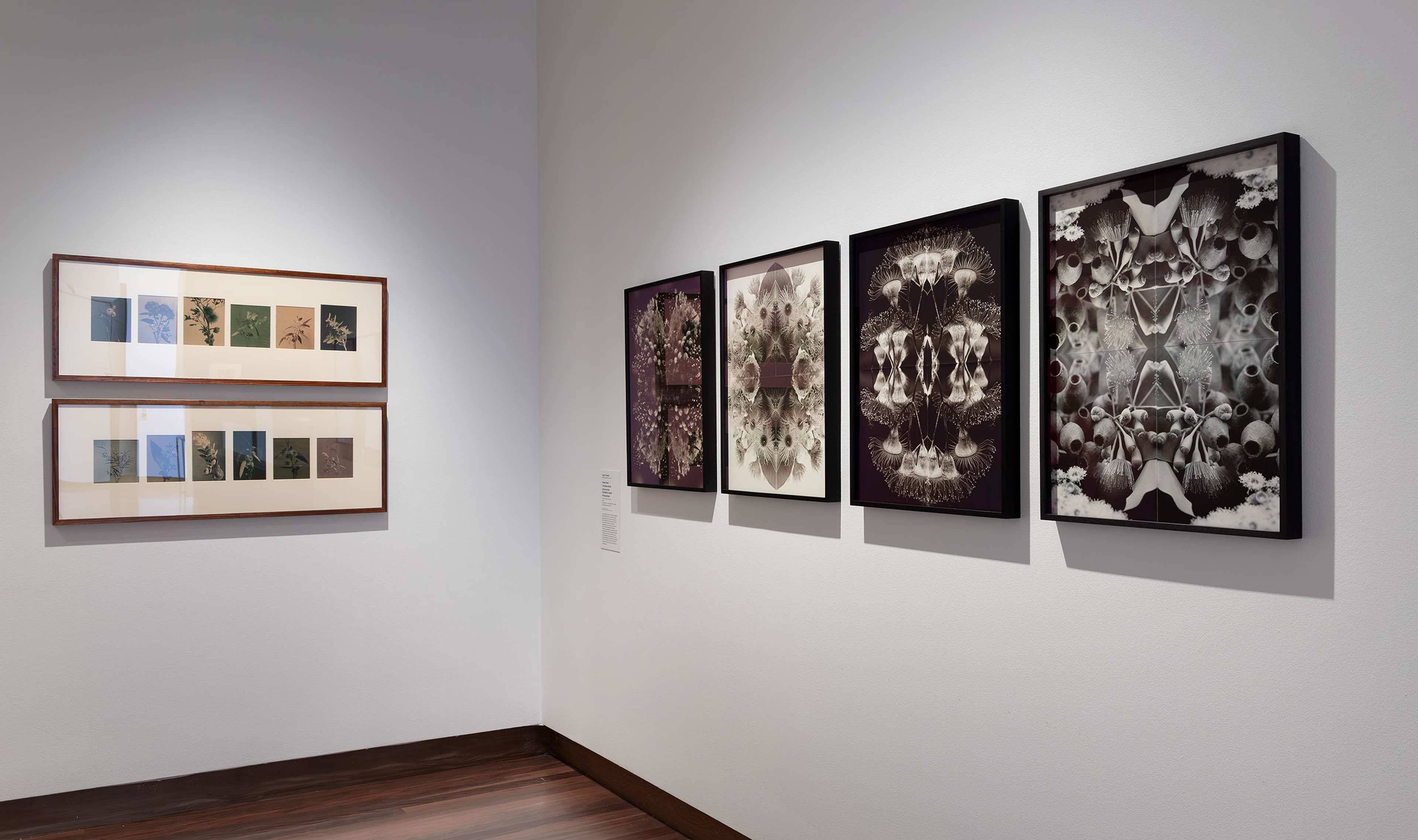 Gallery wall with framed abstract art: two wooden-framed pieces featuring multiple small prints on the left, and four black-framed, symmetrical, kaleidoscopic images on the right, all displayed on white walls with wooden flooring.