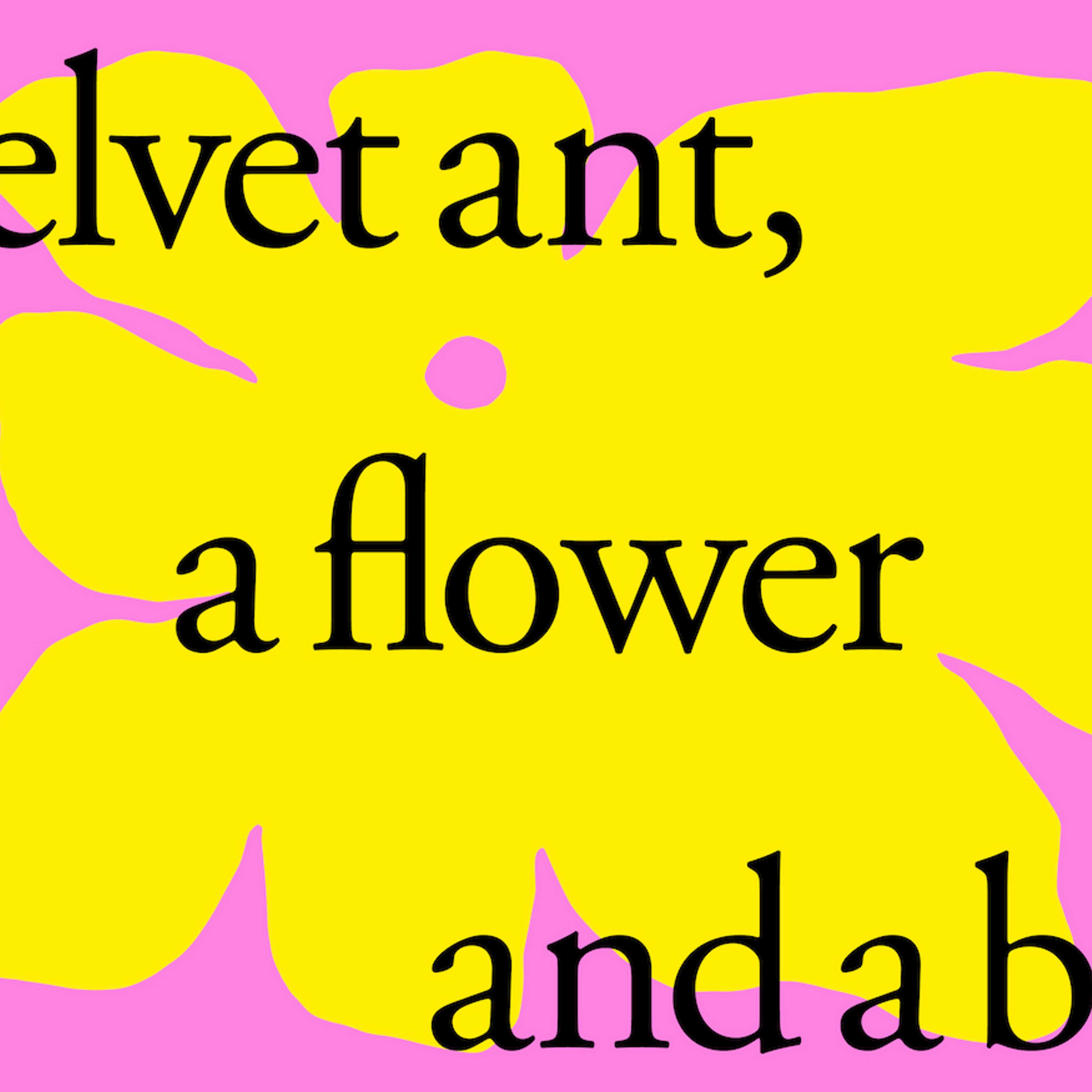 A yellow graphic flower on a pink background with words a velvet ant, a flower and a bird