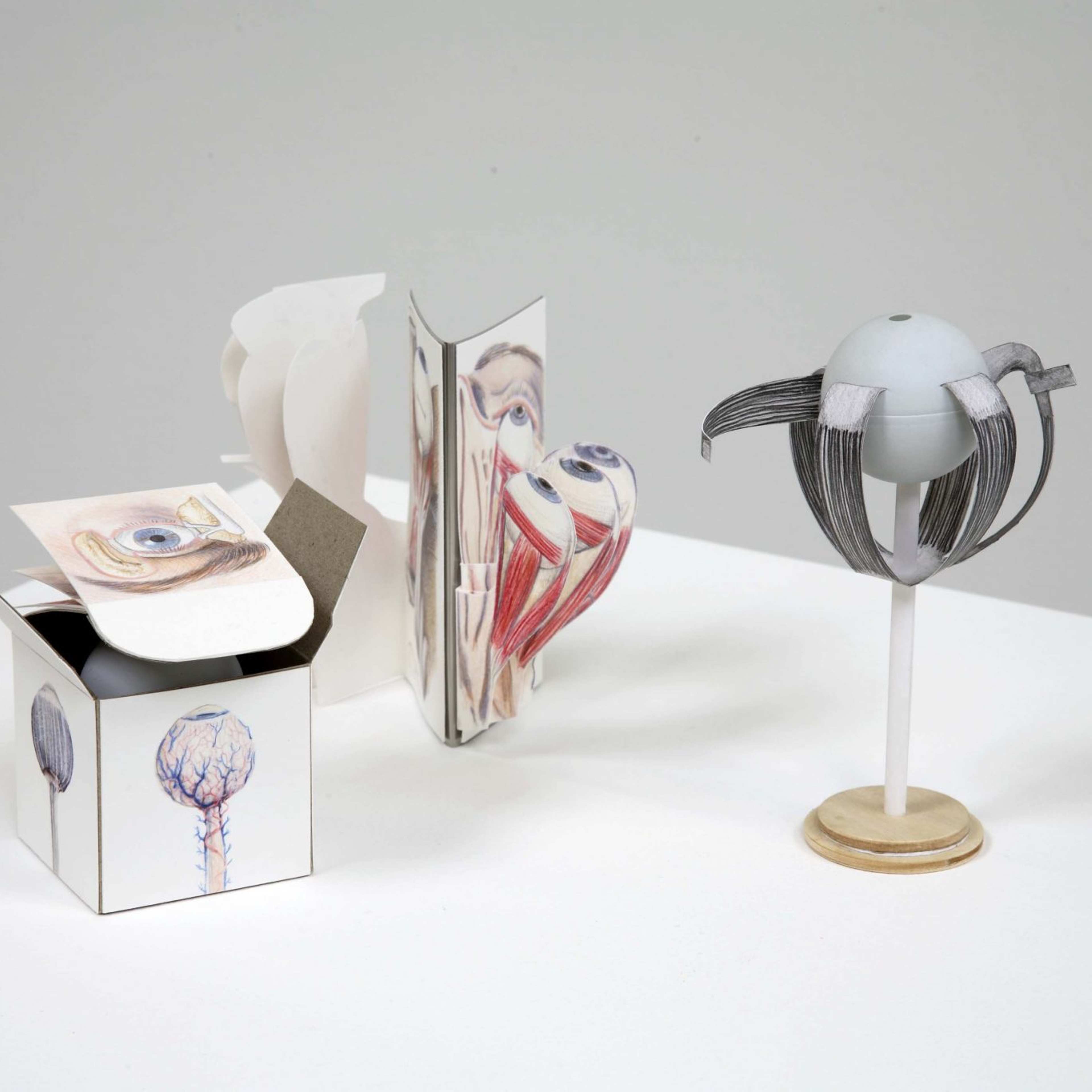 A sculptural assemblage featuring anatomical eye models