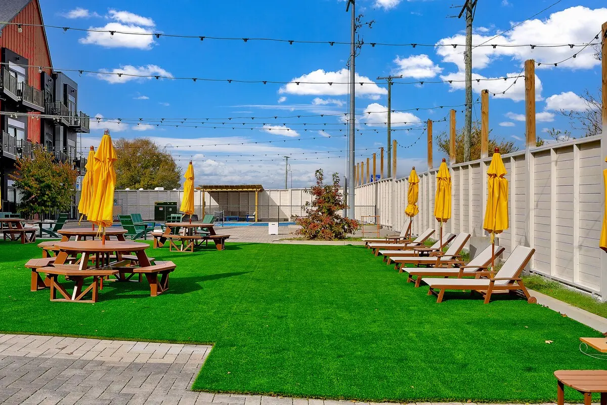 Designer King Studio photo 27