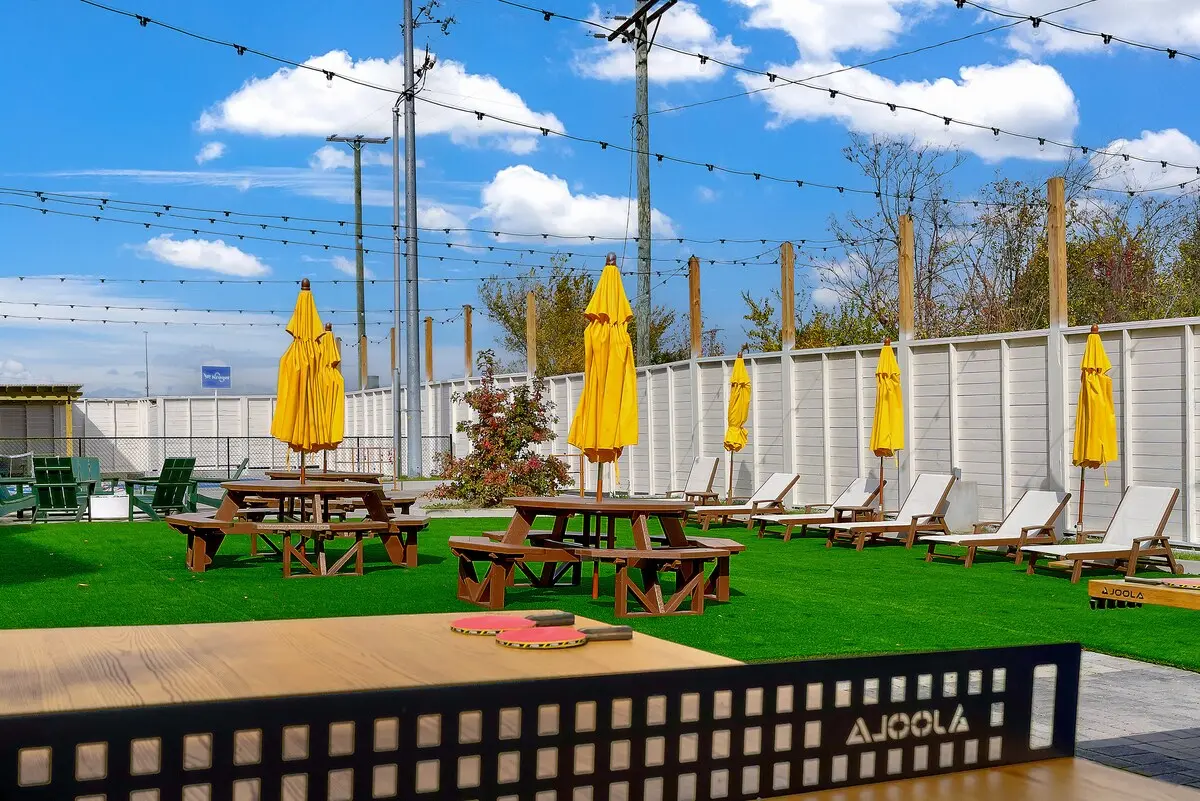 Designer King Studio photo 16