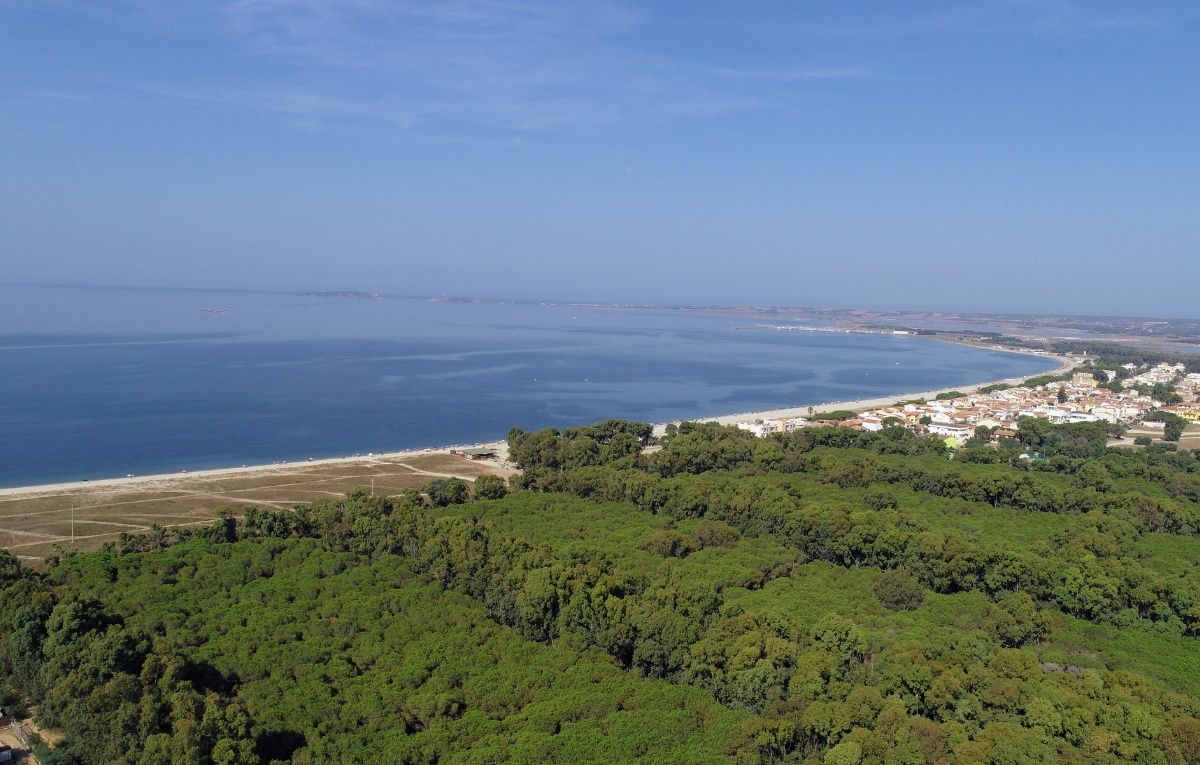 Sardegna Oristano Spiaggia Italy