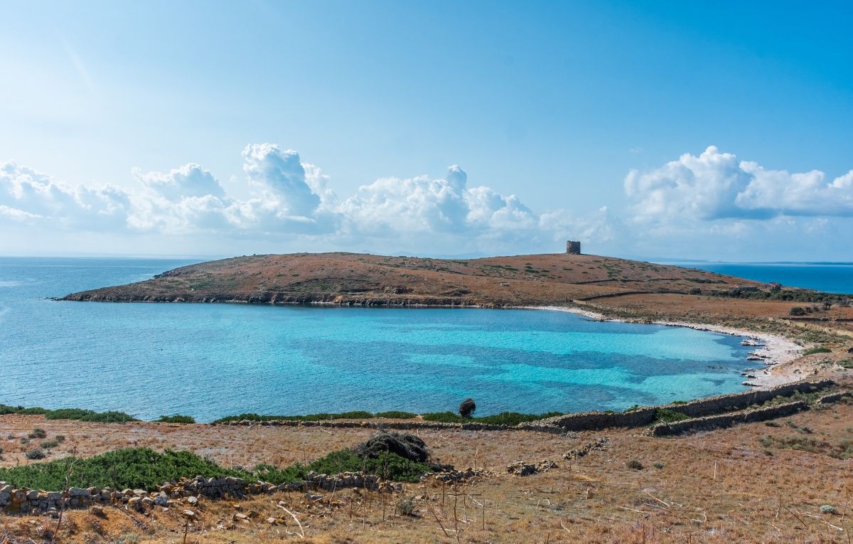 Amazing beach in Asinara Island