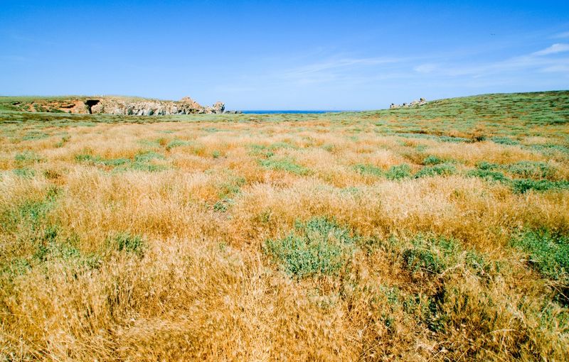 Mal di Ventre desert island