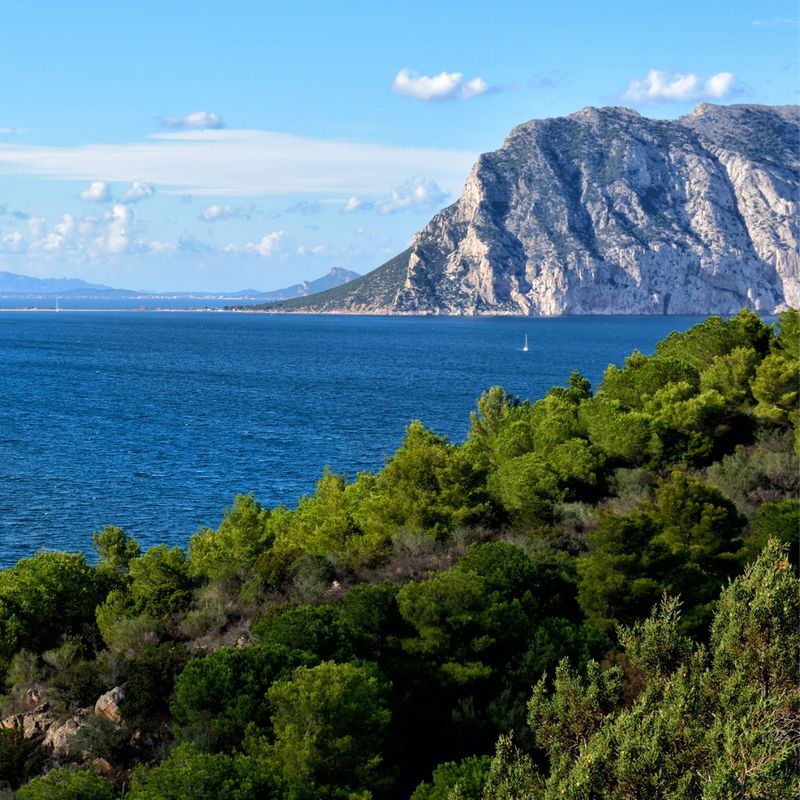 Sardinia, Tavolara