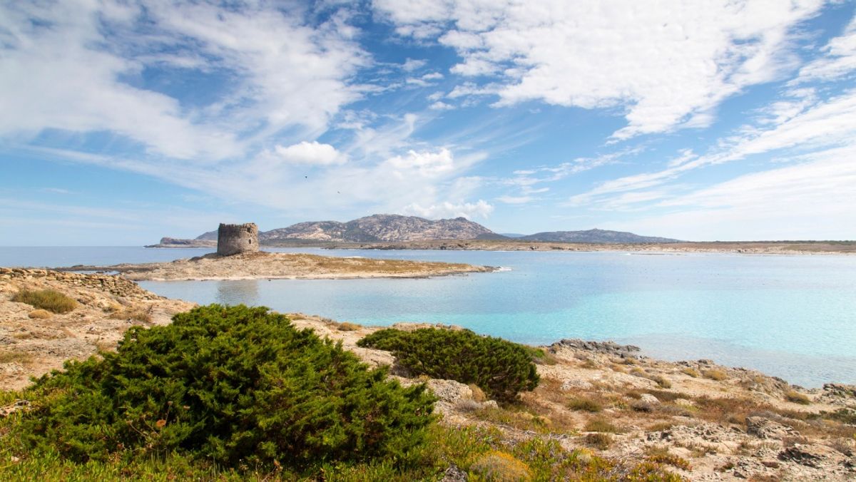 La Pelosa, Sardinia