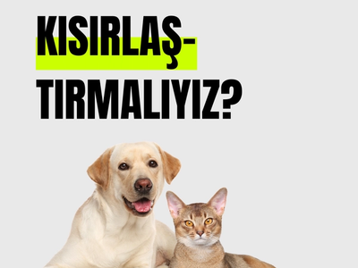 Neden kısırlaştırma?