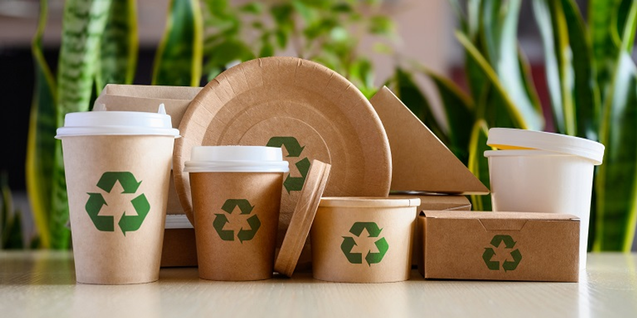 Sustainable Packaging as a Growth Lever: From Cost Centre to Purchase Driver