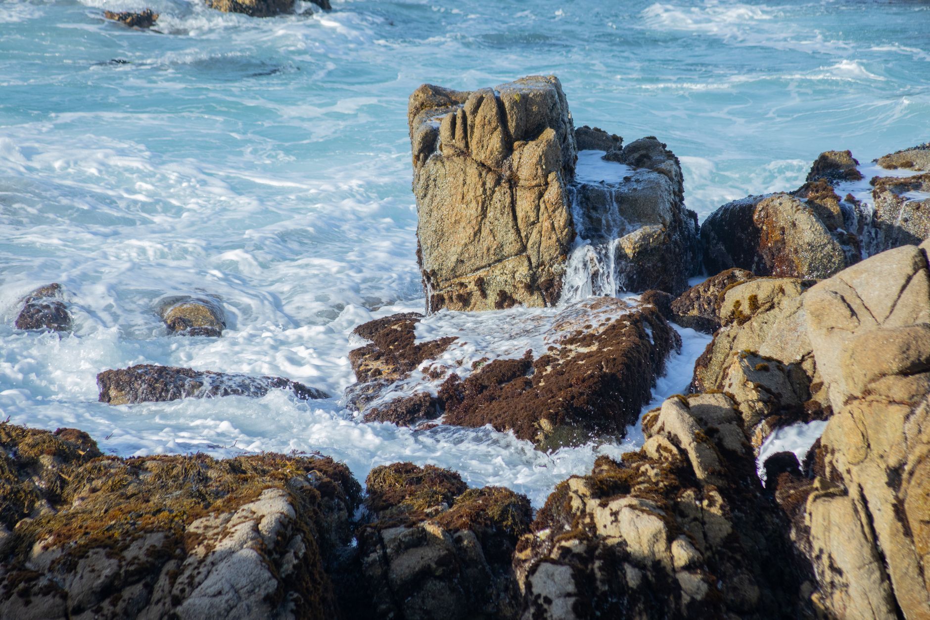 Hotels in Monterey