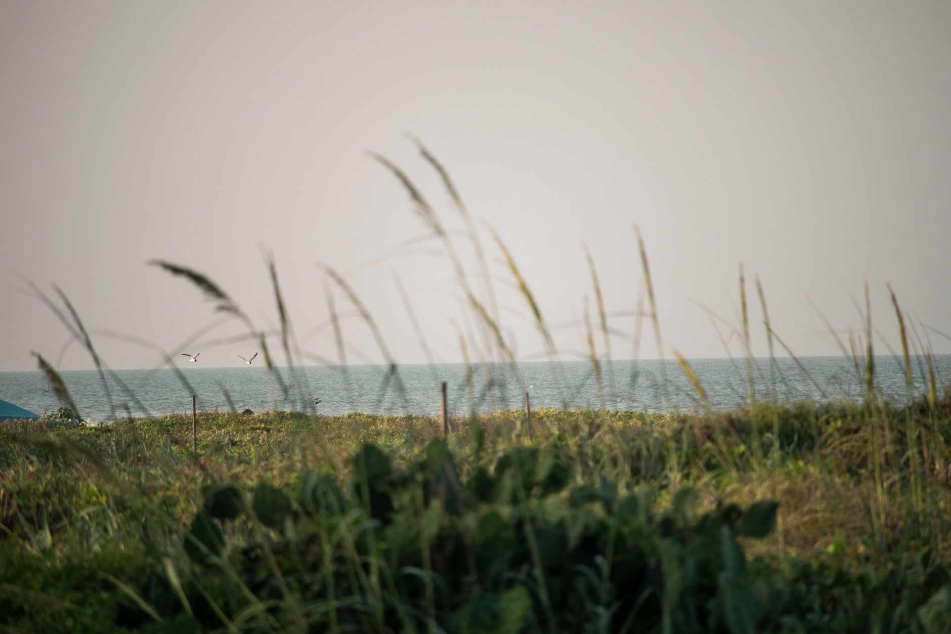 Hotels in South Padre Island