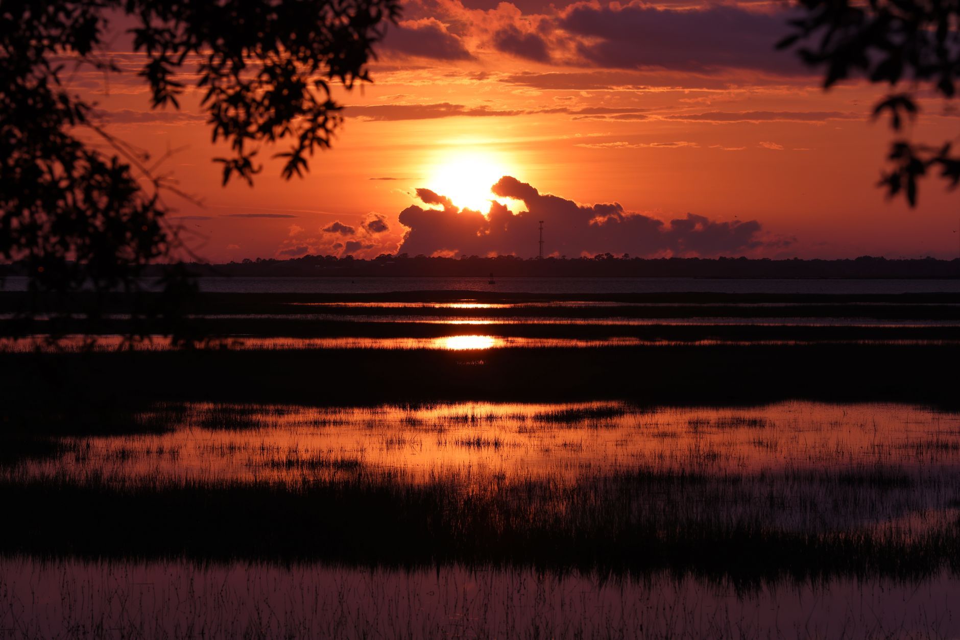 Hotels in Jekyll Island