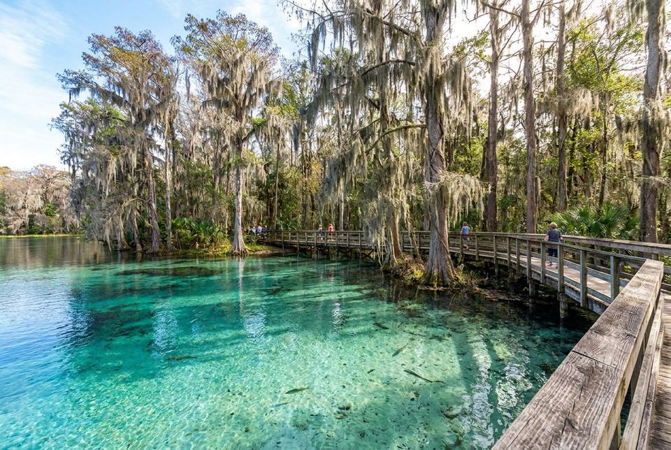 Wakulla Springs State Park near Tallahassee