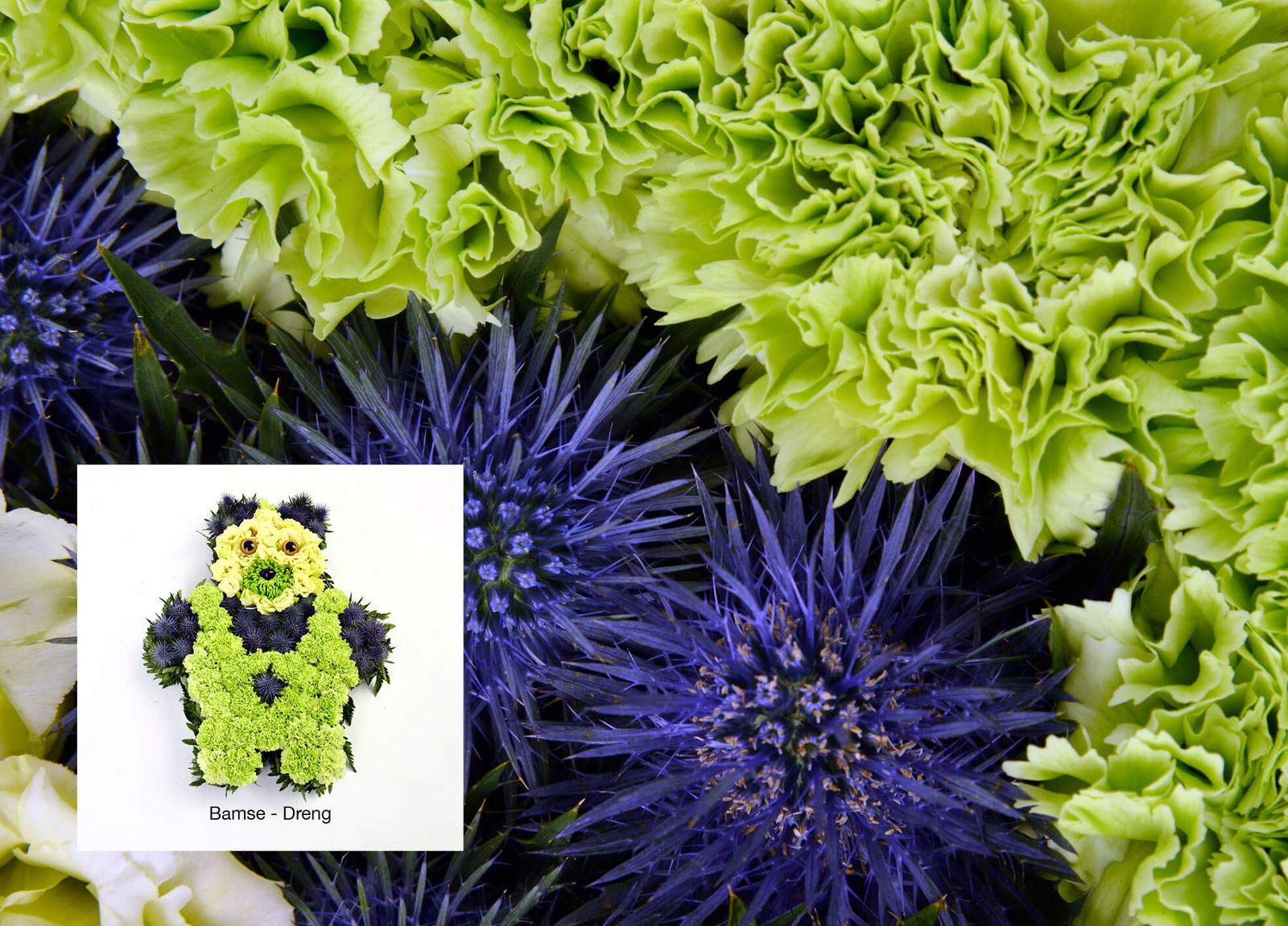 Art direction and image editing of purple and lime green floral arrangements for funeral catalog layout