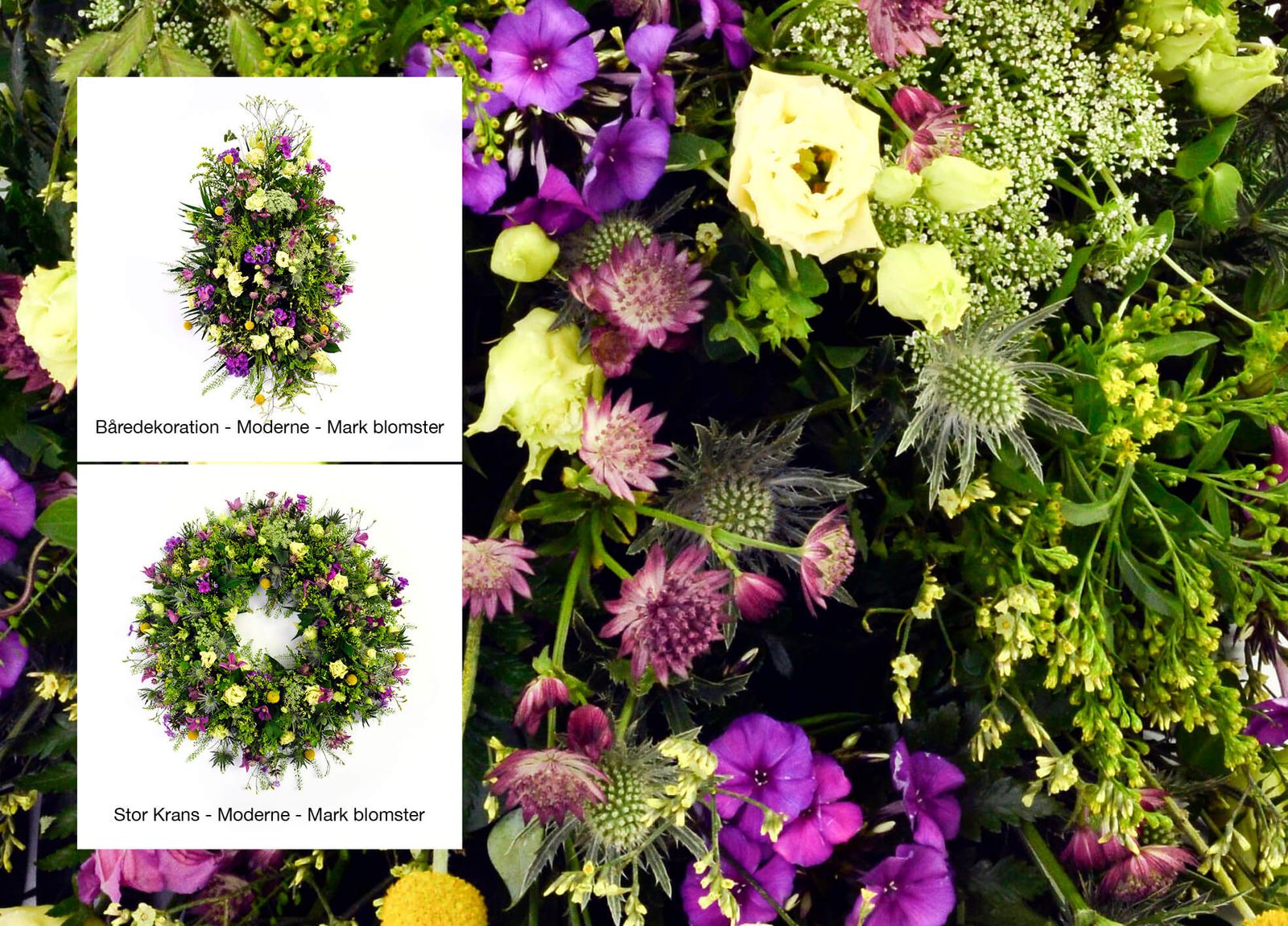 Catalogue design showcasing modern funeral arrangements in purple, yellow and green tones