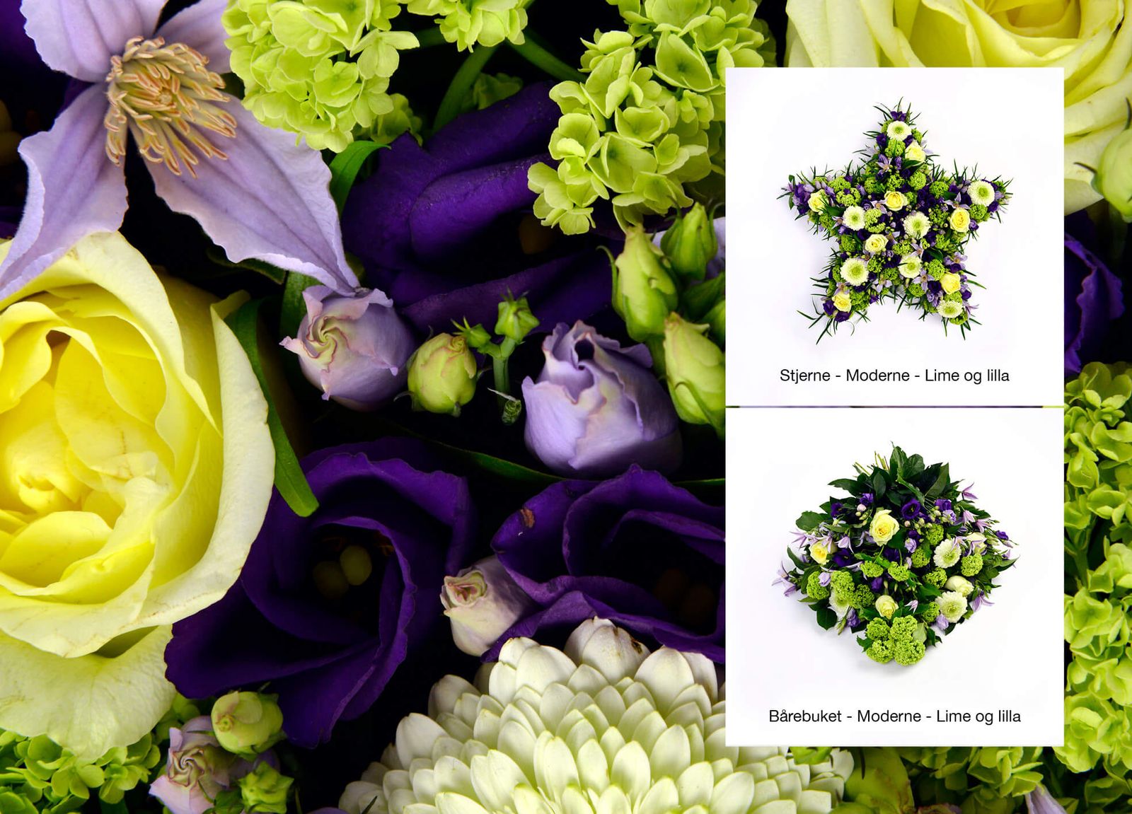 Catalog design featuring color-graded purple and yellow floral arrangements with modern star and casket decoration presentations
