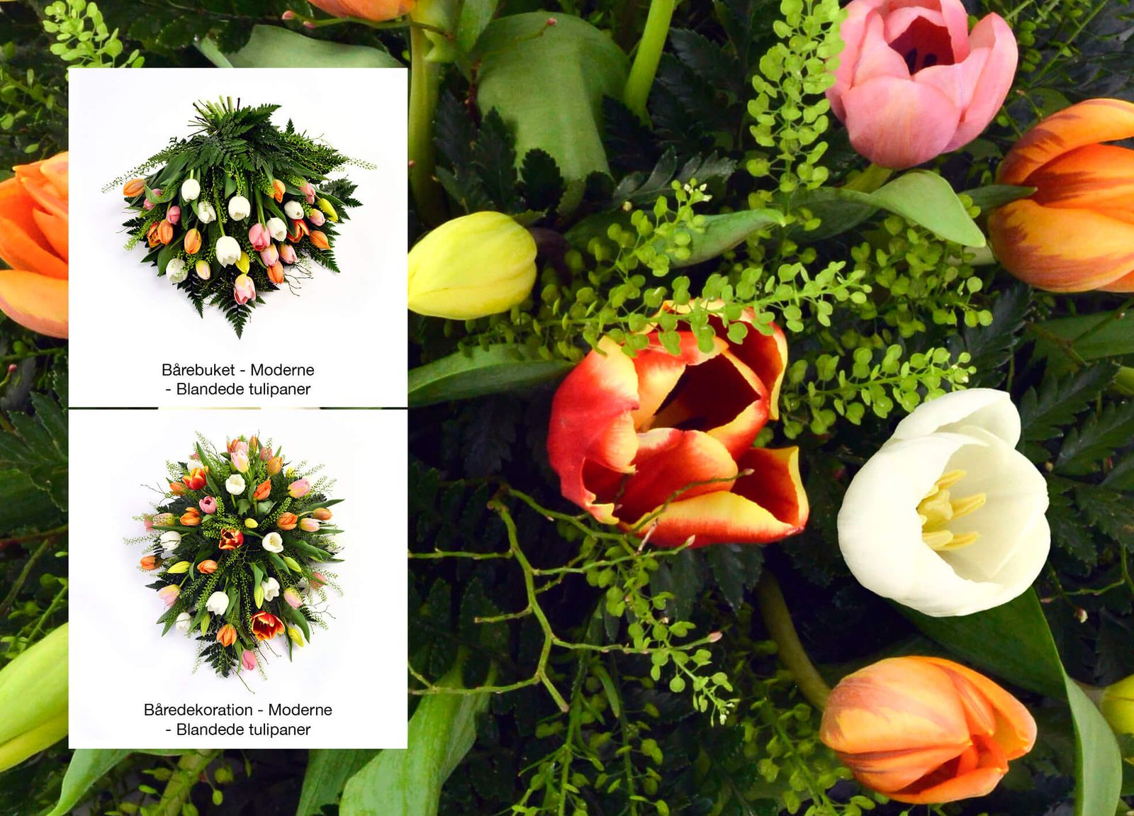 Catalog design showcasing coffin arrangements with blended tulips in muted tones and greenery