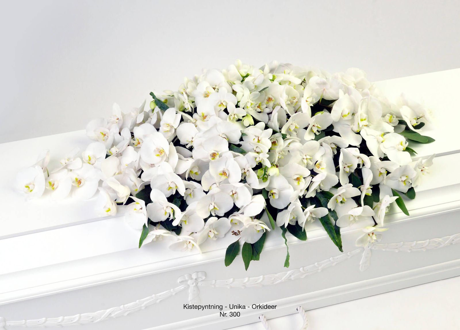 Product photography composition of white orchids designed for funeral catalogue with refined artistic direction