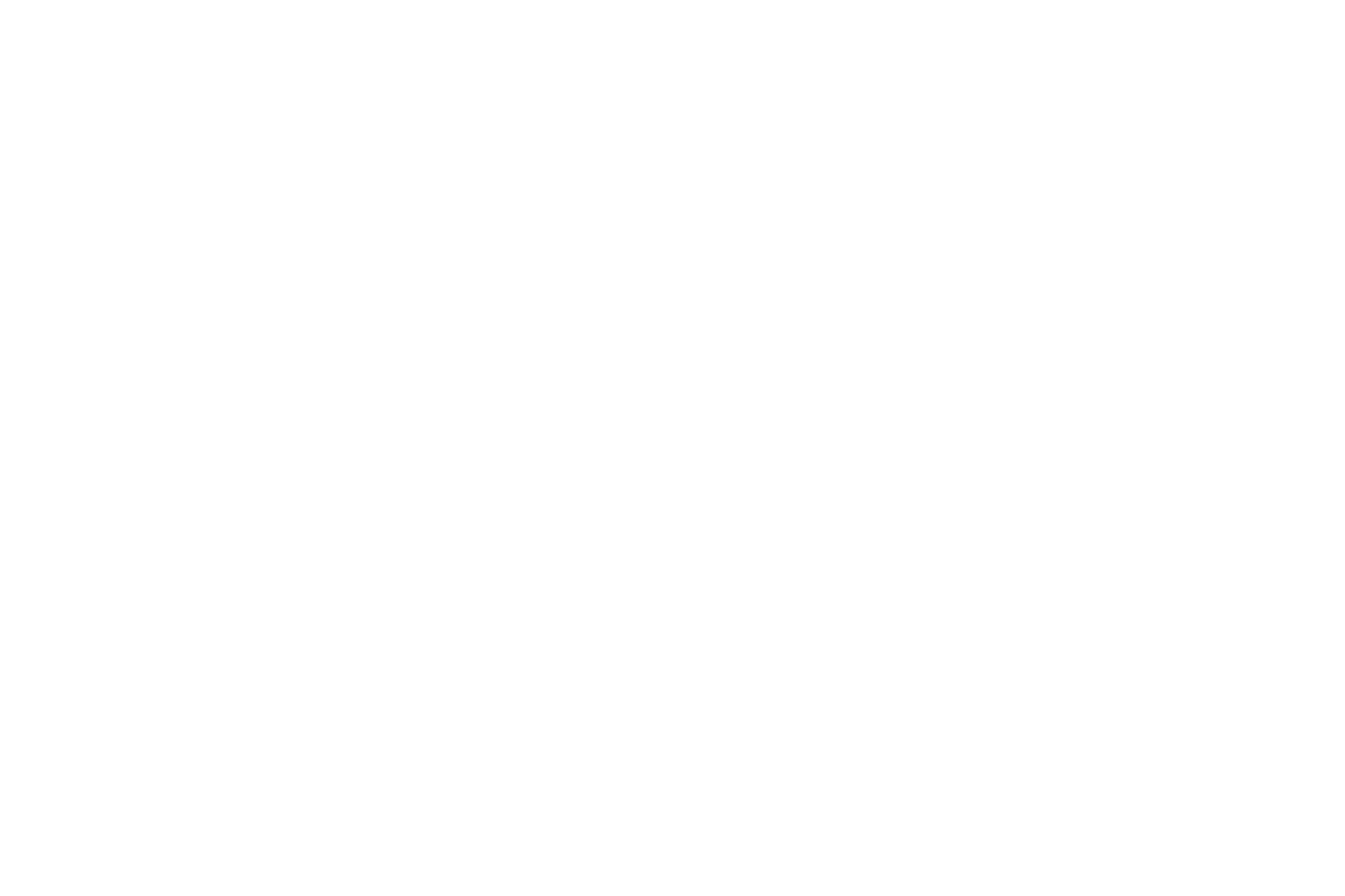 Motion design logo animation for DSB's commercial campaign featuring dynamic visual identity