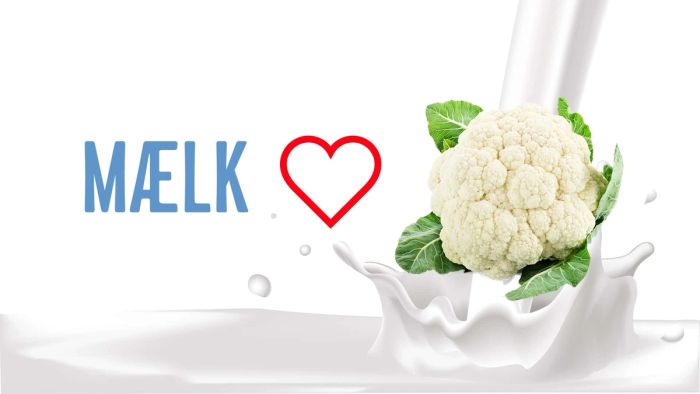 Web design med creative direction: mælk og blomkål i splash-komposition til Arla Mælk aktivering