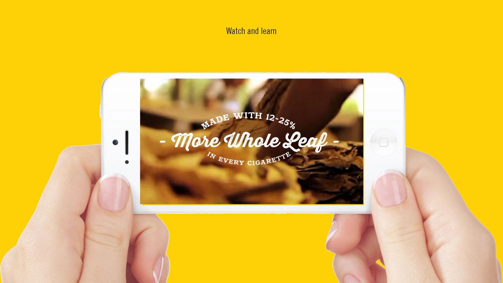 Video interface showcasing product messaging and tobacco leaf content for retail staff training
