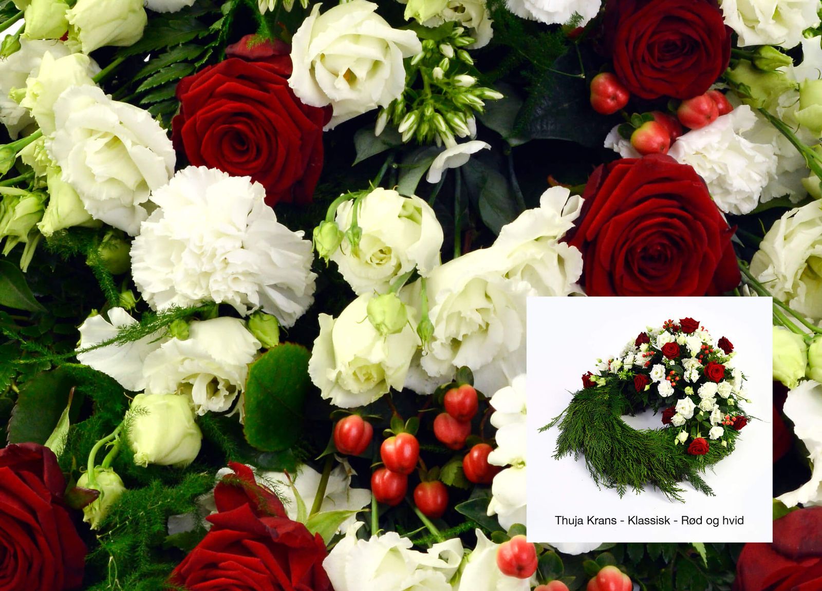 Image composition of red roses, white carnations and hypericum berries in dignified layout for funeral catalogue