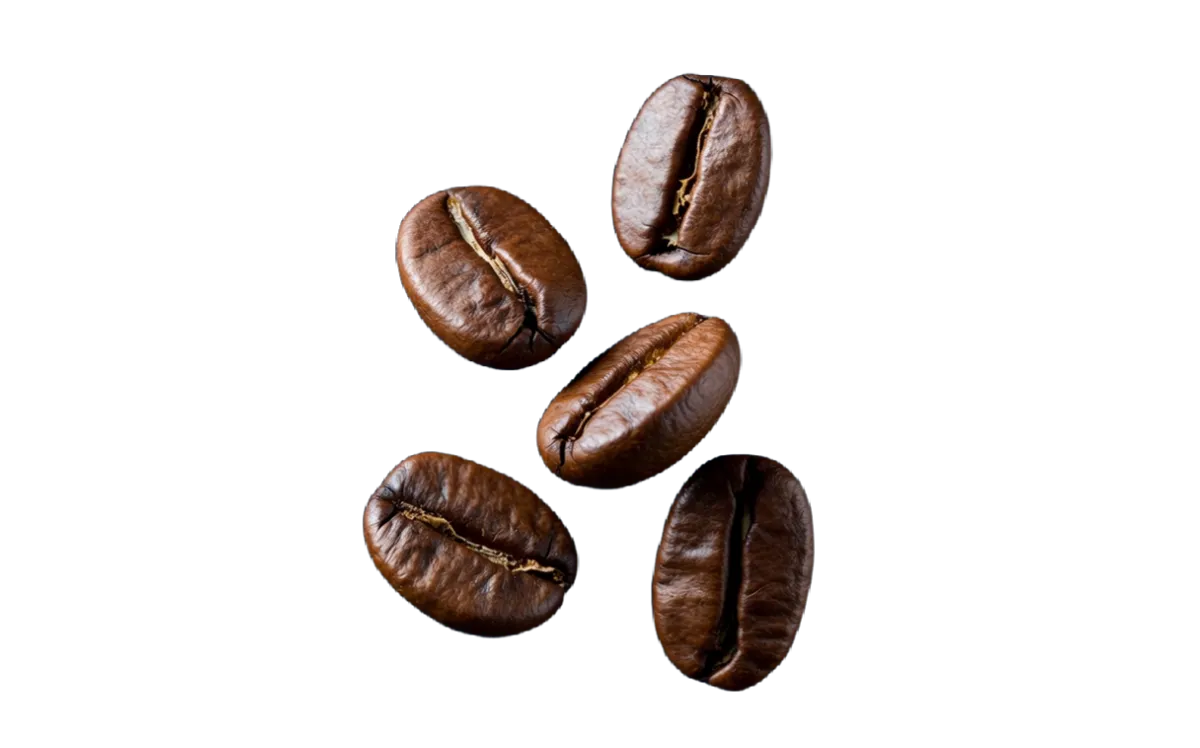 img_Cutout_l - Before