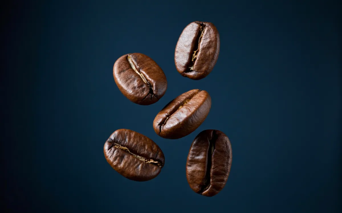 img_Cutout_l - After