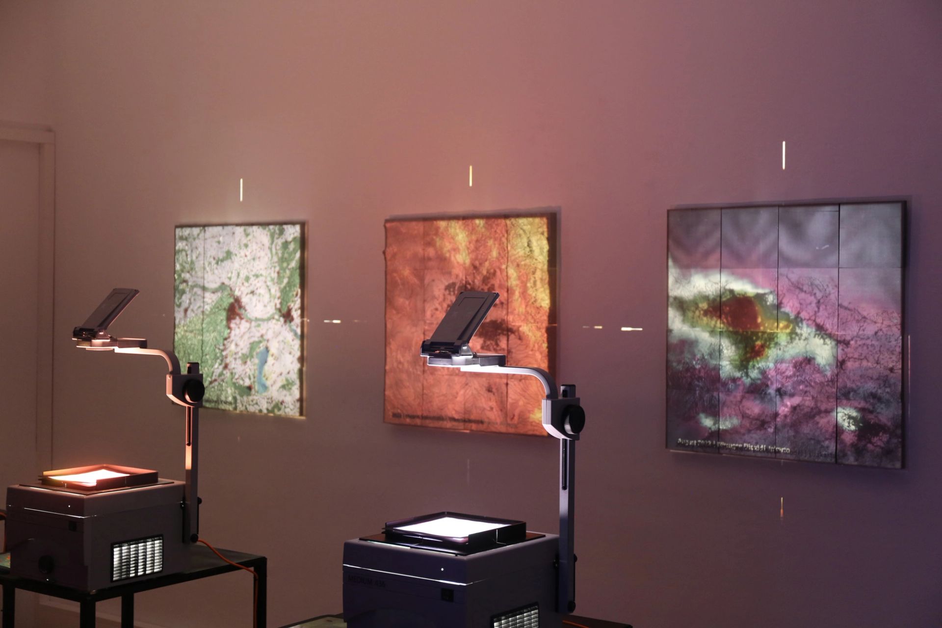 Vibrant Fields at Zentrum Fokus Forschung (2024)