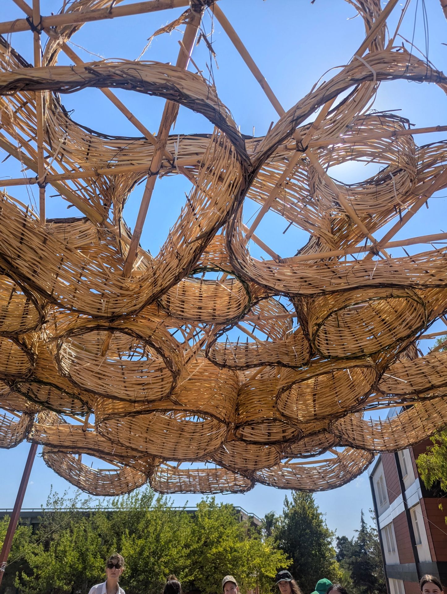 PXL_20250801_074829590.MP