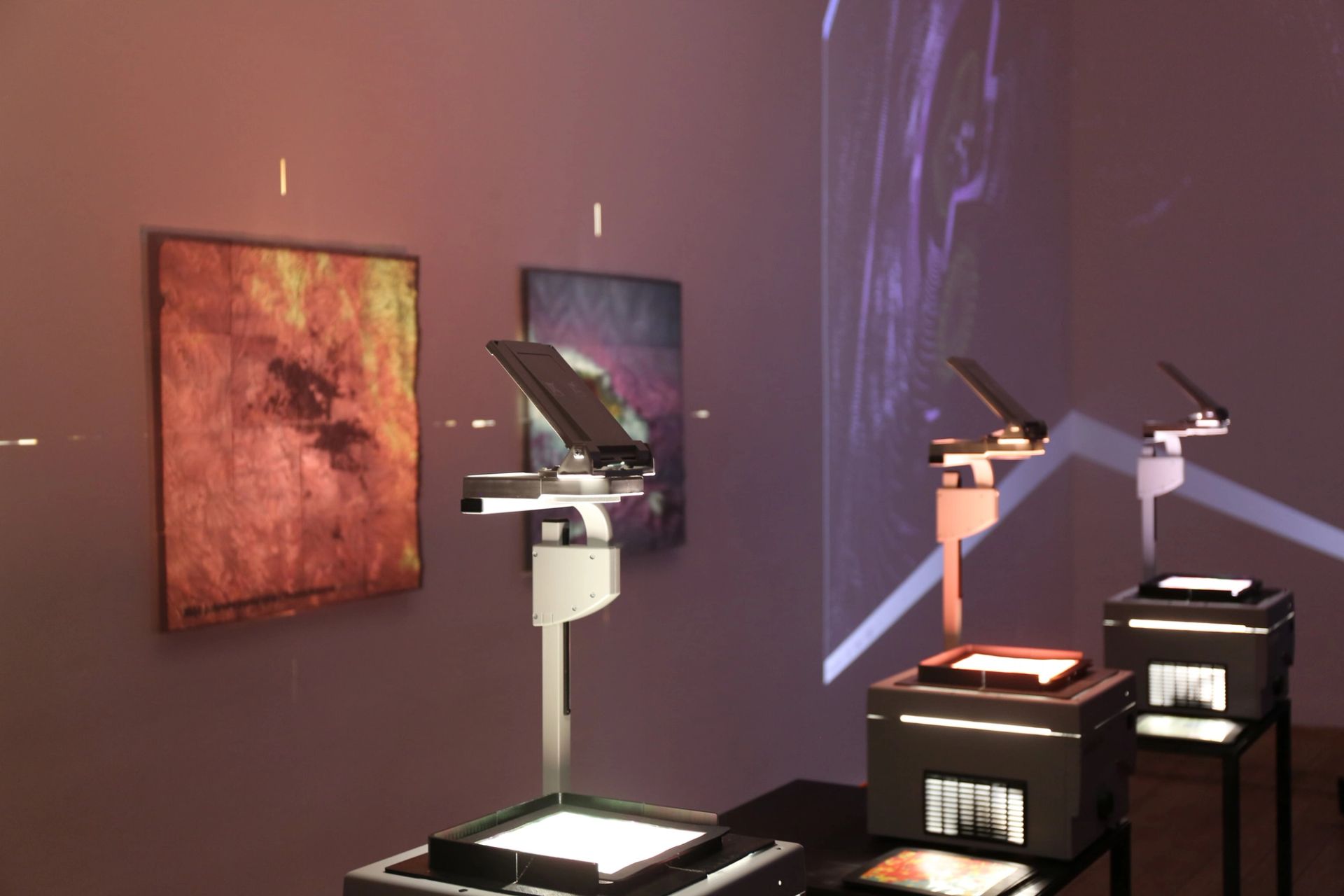 Vibrant Fields at Zentrum Fokus Forschung (2024)