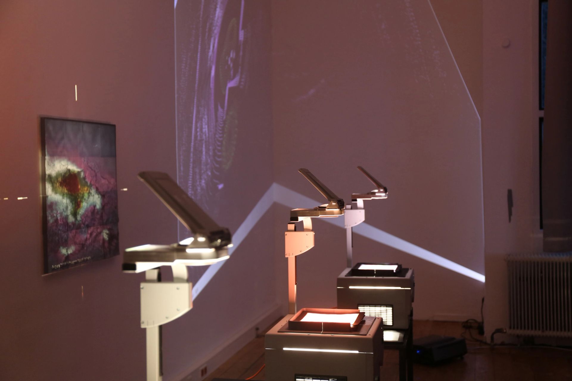 Vibrant Fields at Zentrum Fokus Forschung (2024)